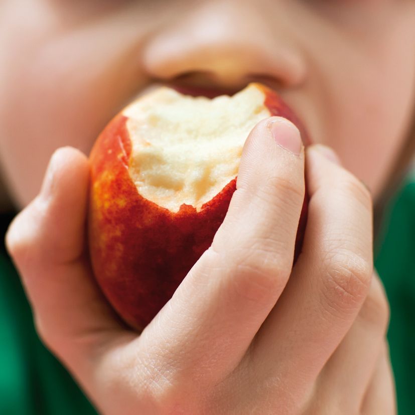 Els hàbits que s'agafen en la infància es mantenen tota la vida