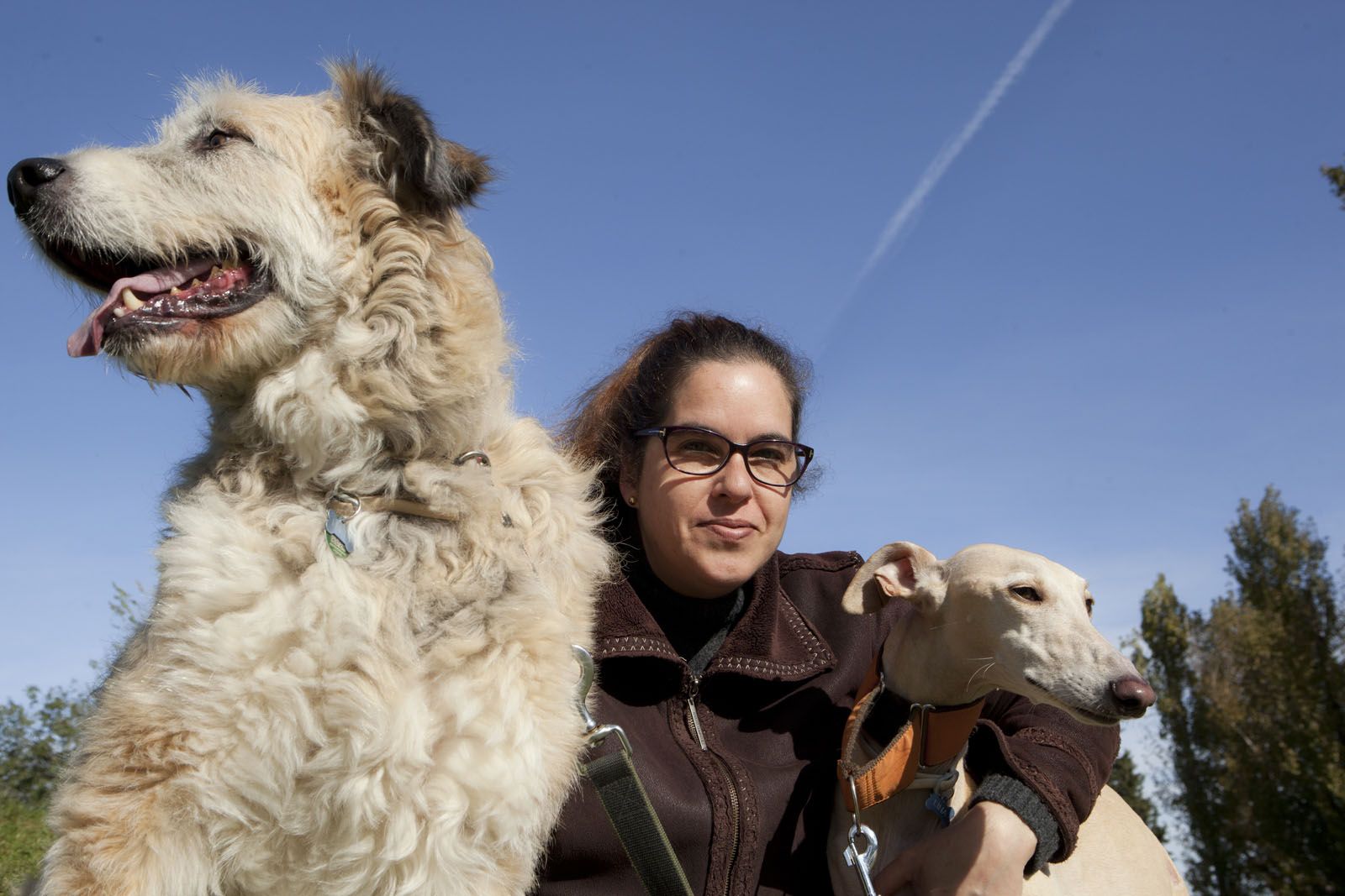 Rosa viu amb dos gossos i un gat i és casa d'acollida  FOTO: Artur Ribera
