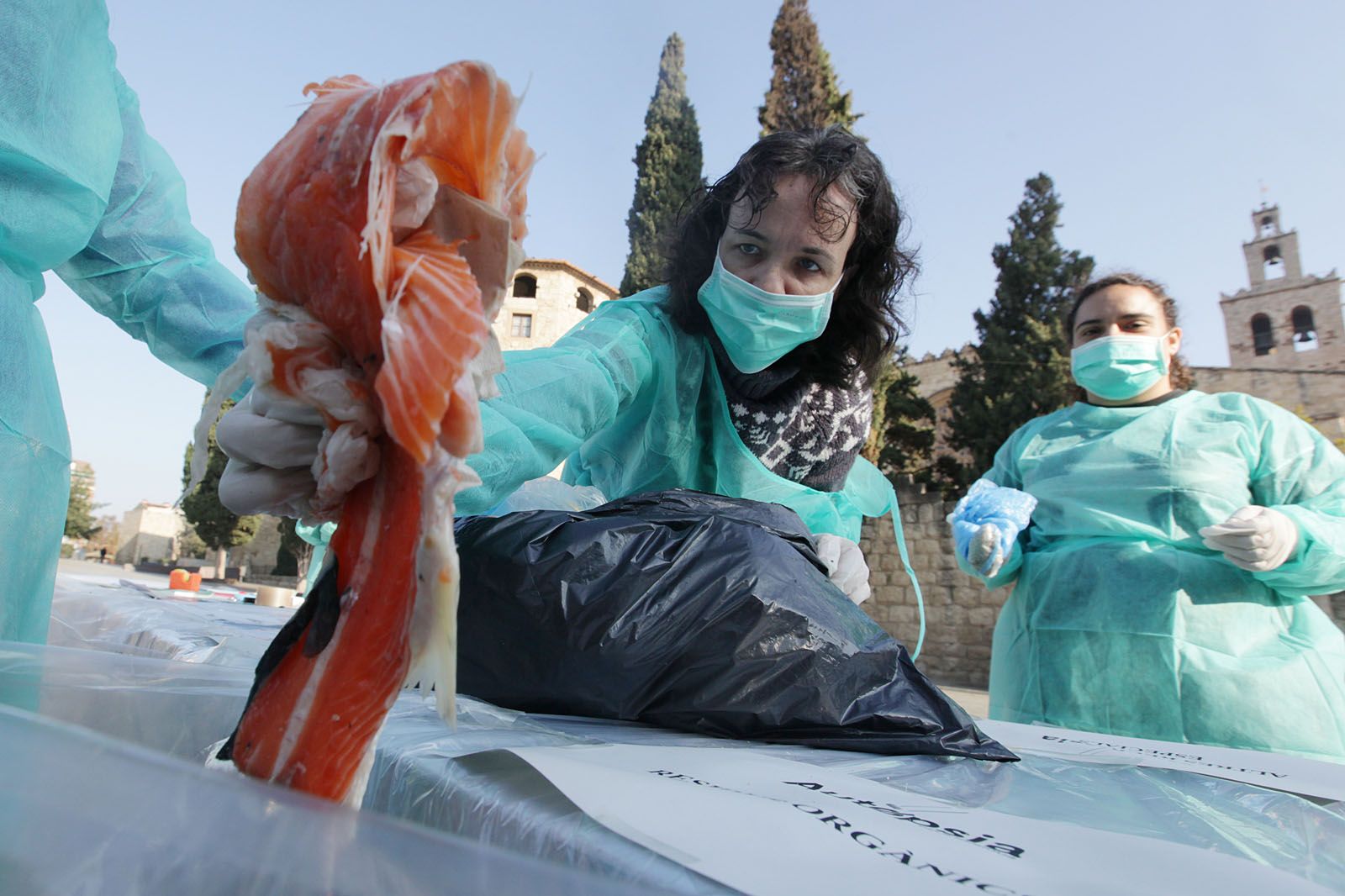 Moment de l'activitat FOTO: Lali Puig 