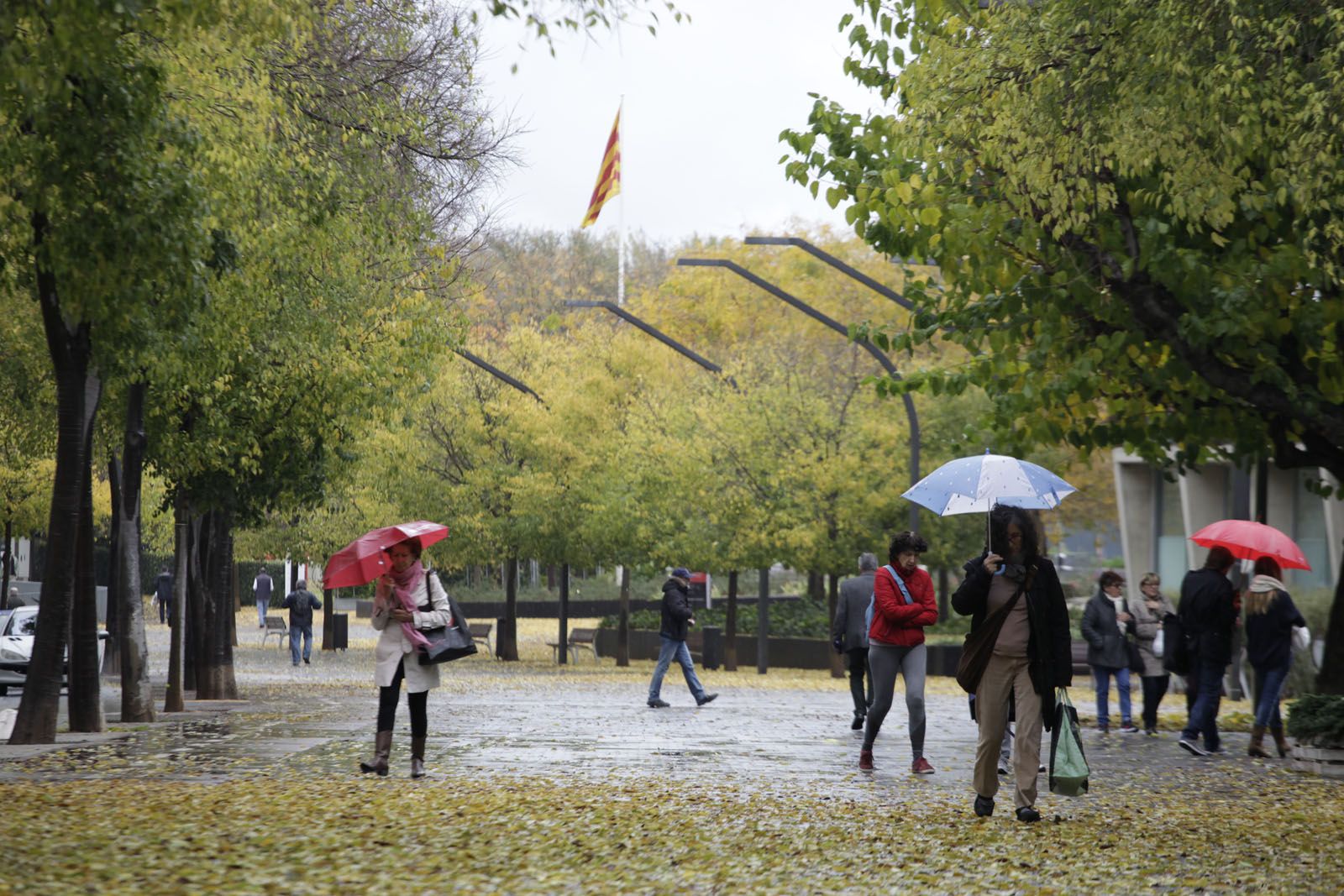 Setmana de pluges a Sant Cugat FOTO: Artur Ribera 