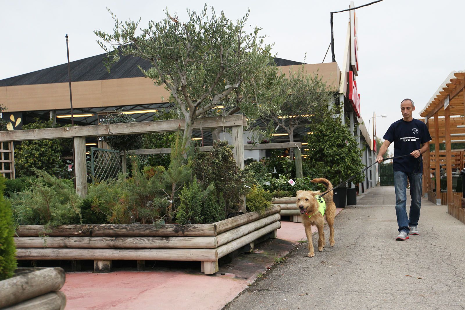 Els animals podran accedir a les botigues i establiments  FOTO: Lali Puig