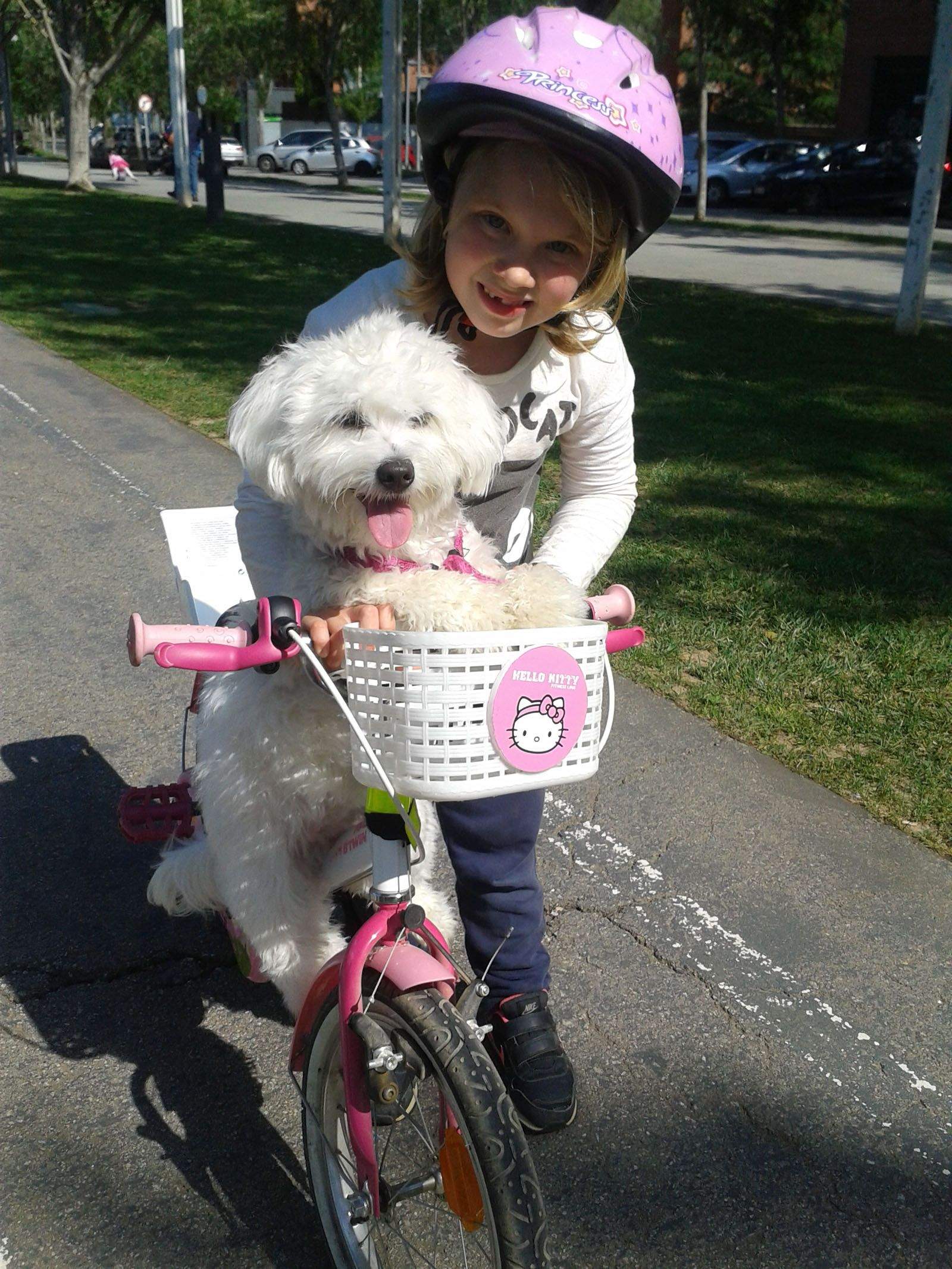 Maria Teresa Domingo Arcas. La Lluna i jo en bici amb sol