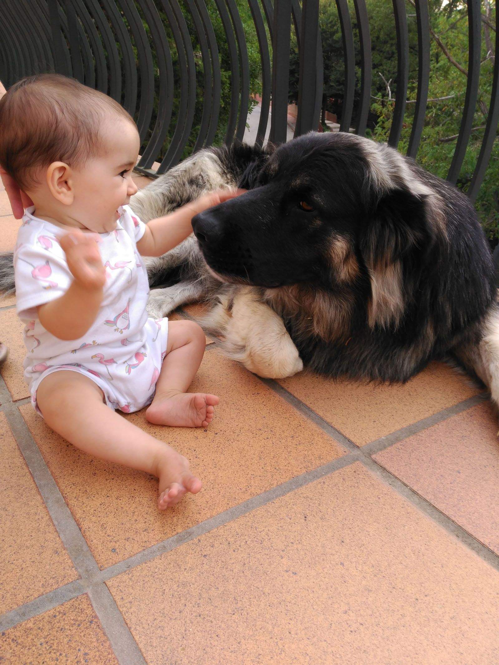 Anna Ramírez Murillo. Sempre juntes