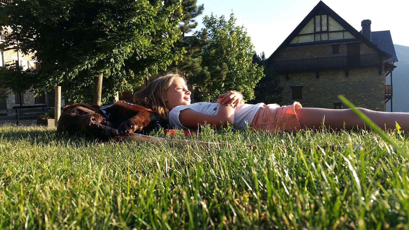 Bet Gifra Barbany. Flick