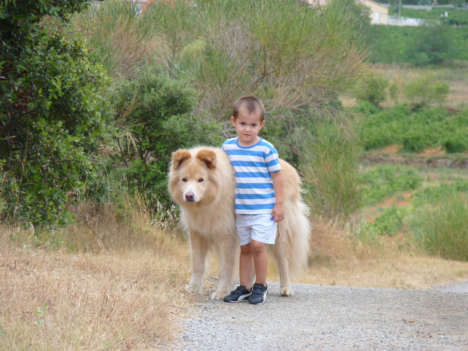 Úrsula Salvador. Caminant per la vida