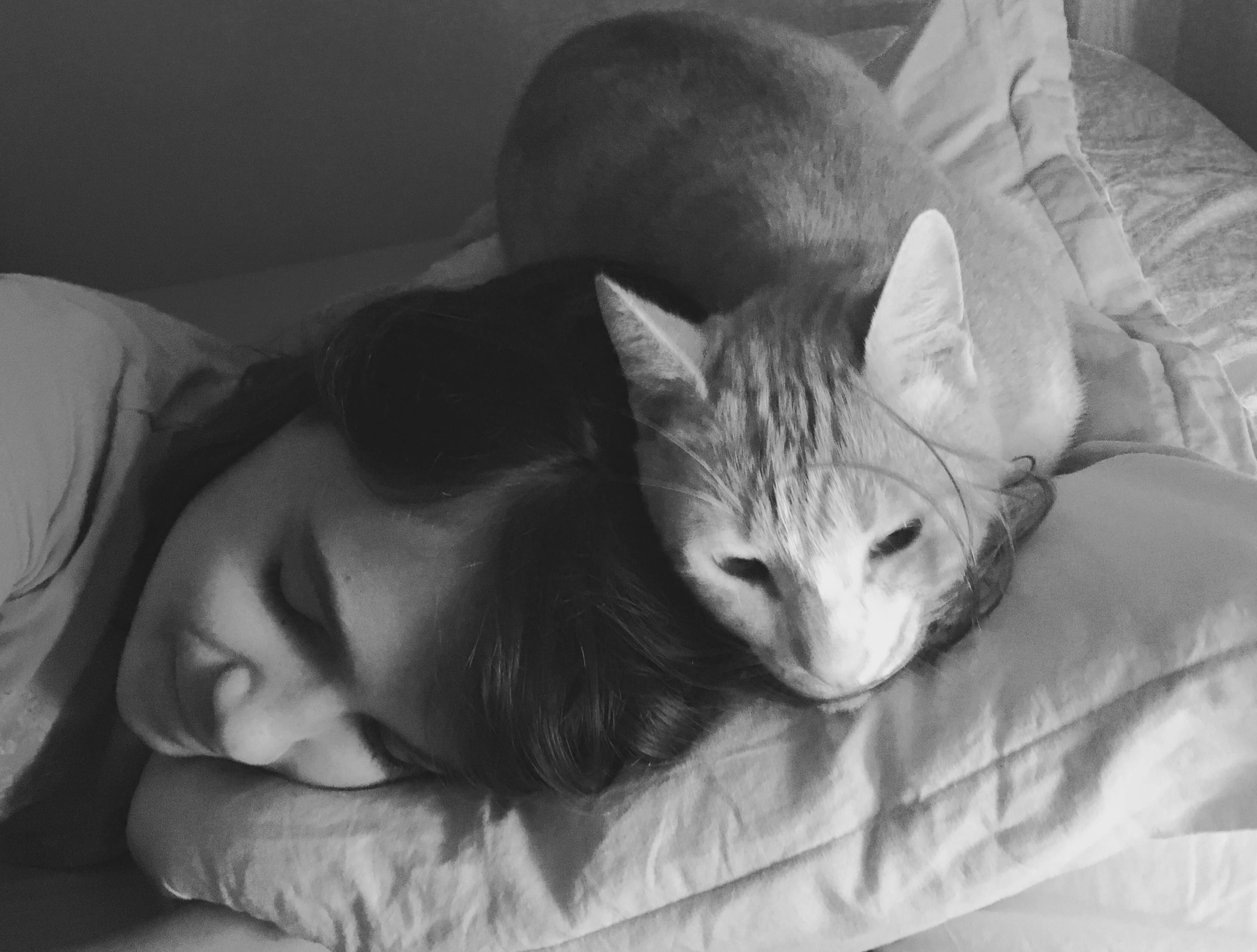 Adriana Torrens lain. Compañero de noche para toda la vida