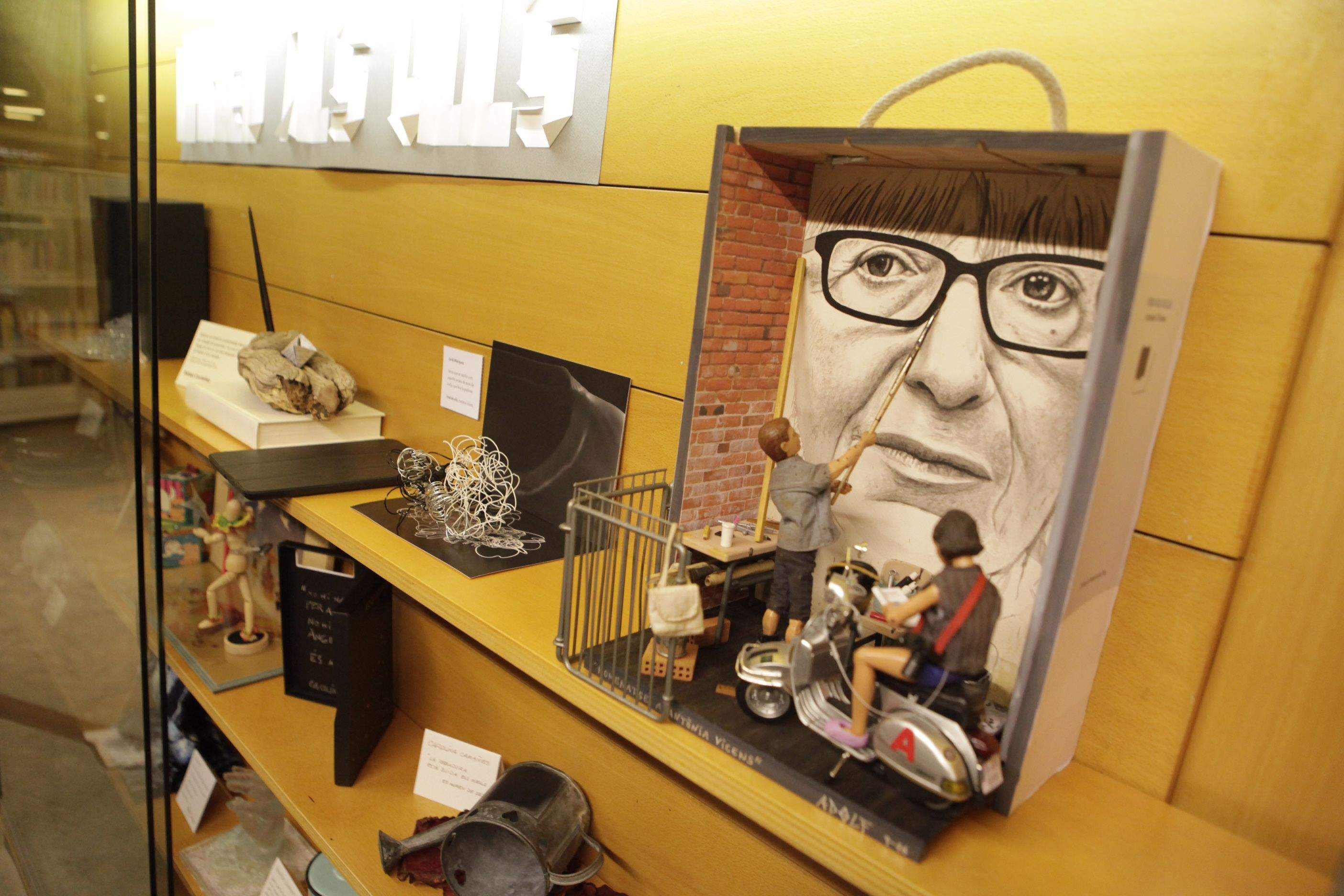 L'exposició porta per nom 'Fred als ulls'. FOTO: Artur Ribera