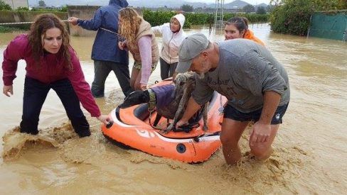 Rescat d'un gos afectat per les inundacions a Màlaga FOTO: PACMA
