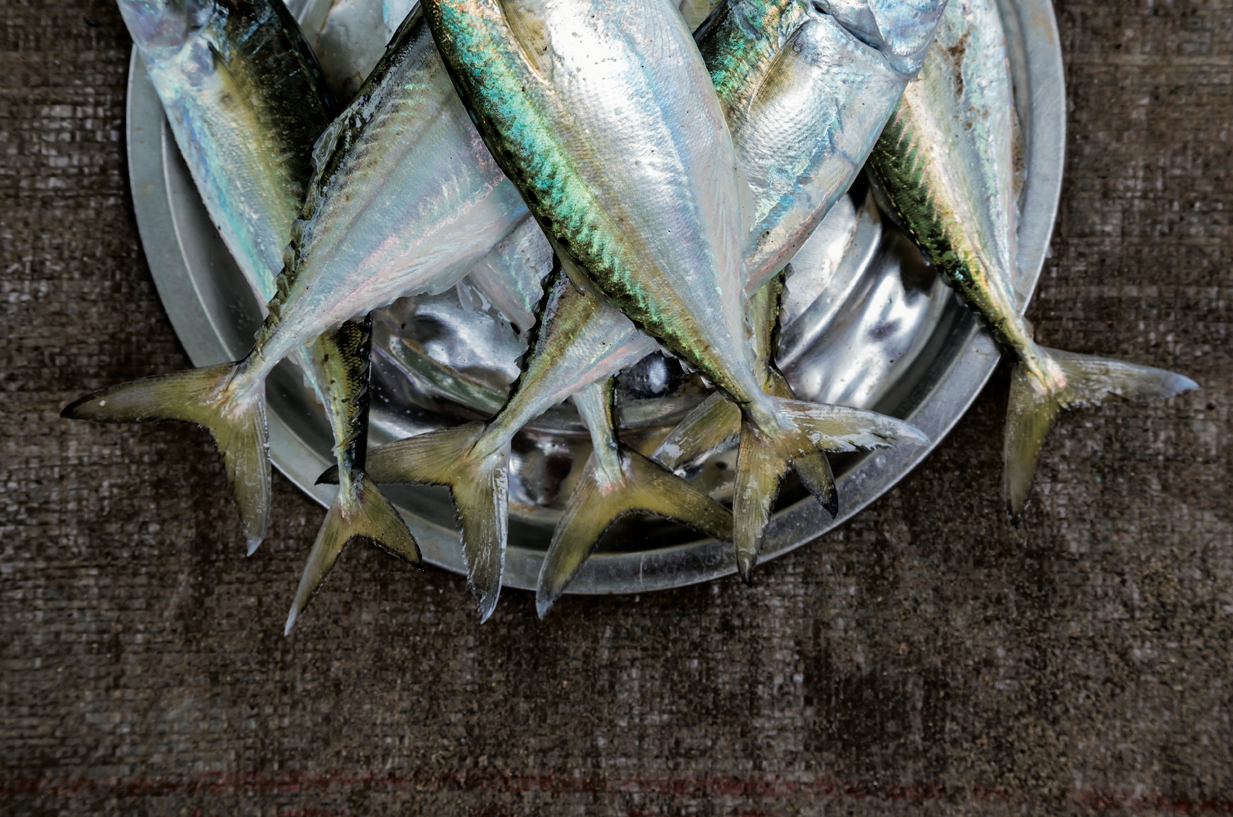 Imatge d'un plat de peix fresc FOTO: Cedida