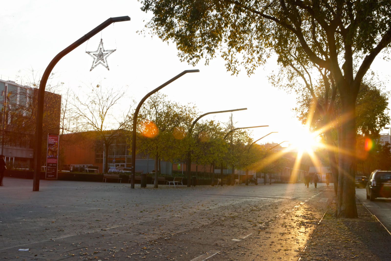 Sol d'hivern. FOTO Artur RIbera