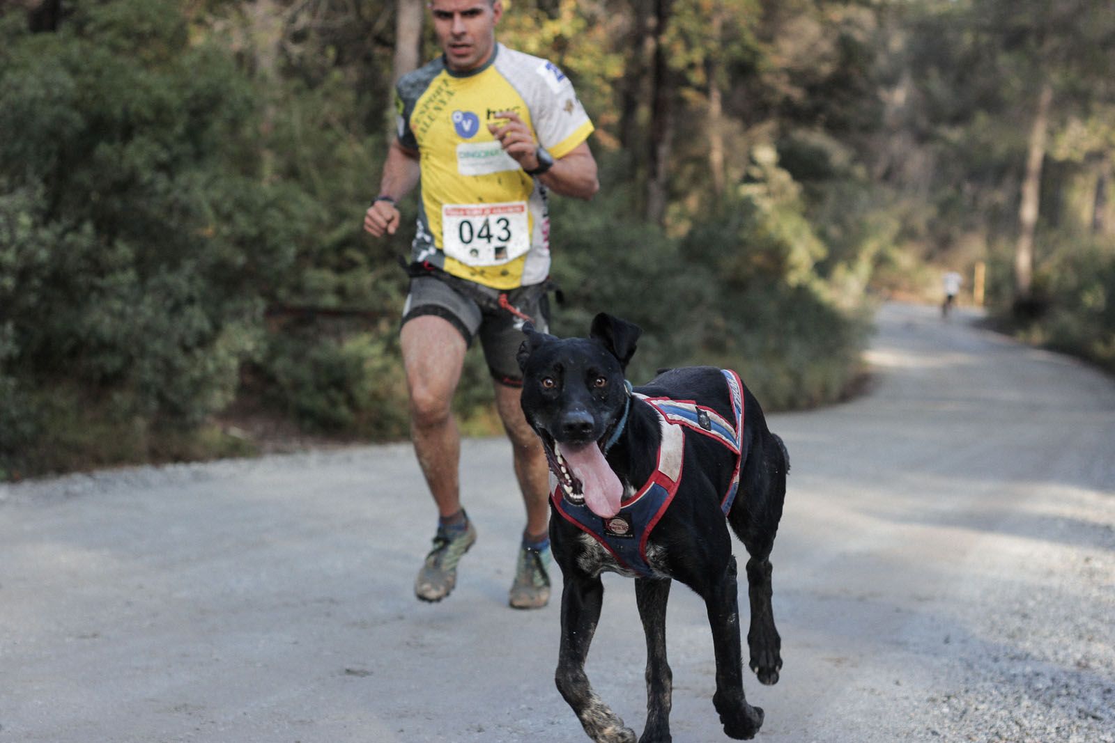 Els canicros és una activitat molt consolidada a la ciutat FOTO: Ale Gómez