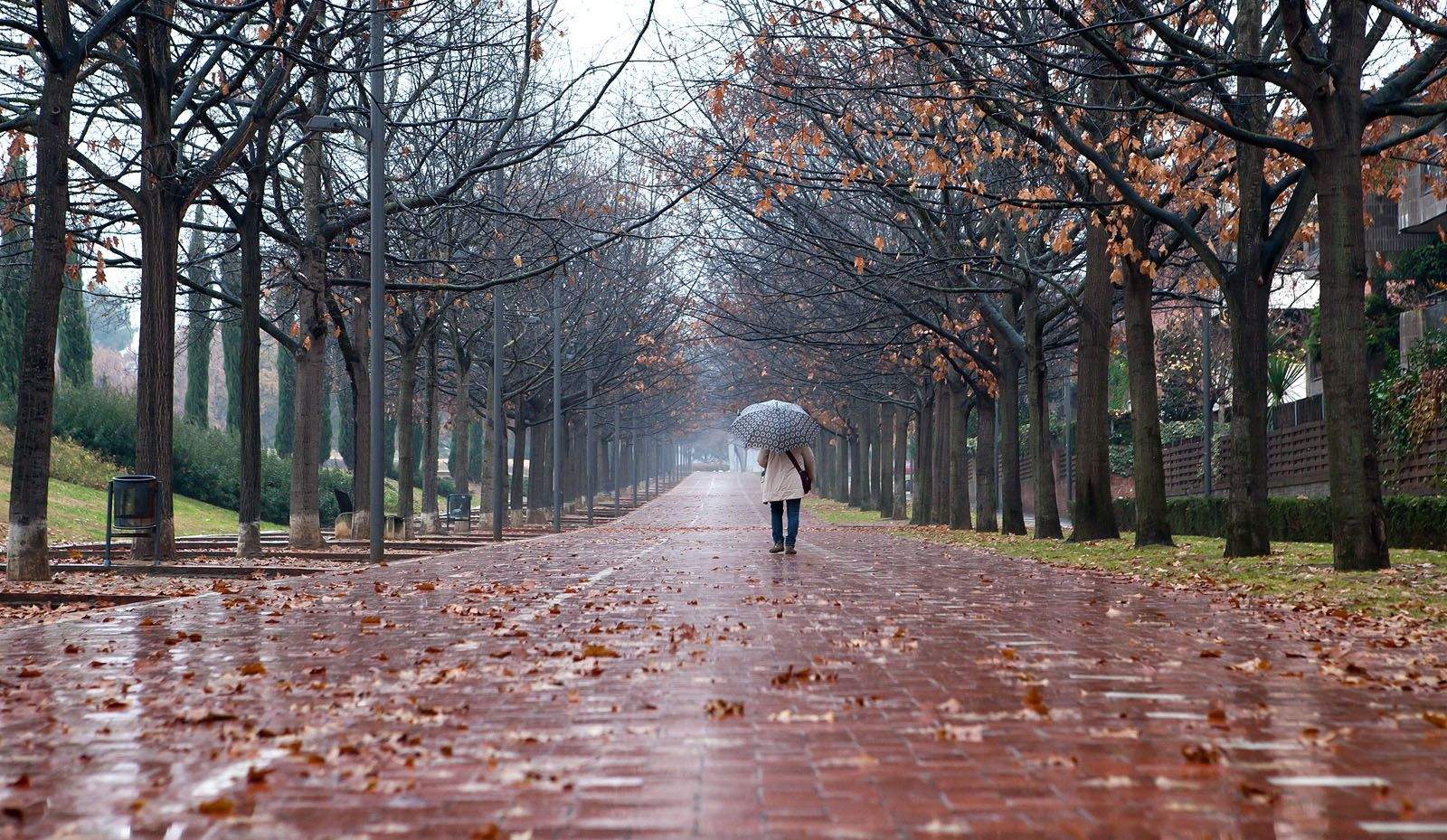 Tardor i pluja al passeig de Gaudí FOTO: Artur Ribera