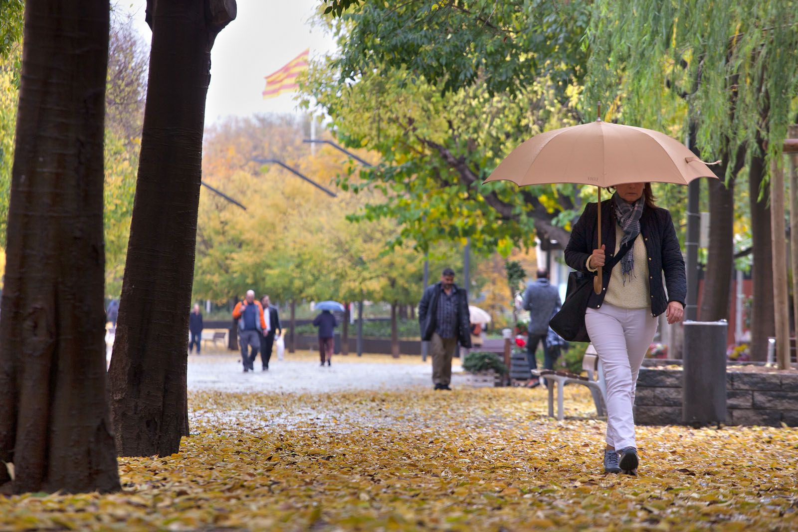 Rambla del celler FOTO: Artur Ribera