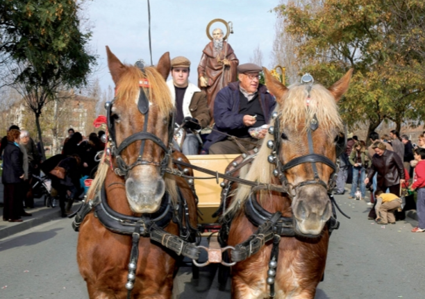 Sant Antoni a la rua de Sant Antoni, als carrers de Sant Cugat FOTO: Artur Ribera