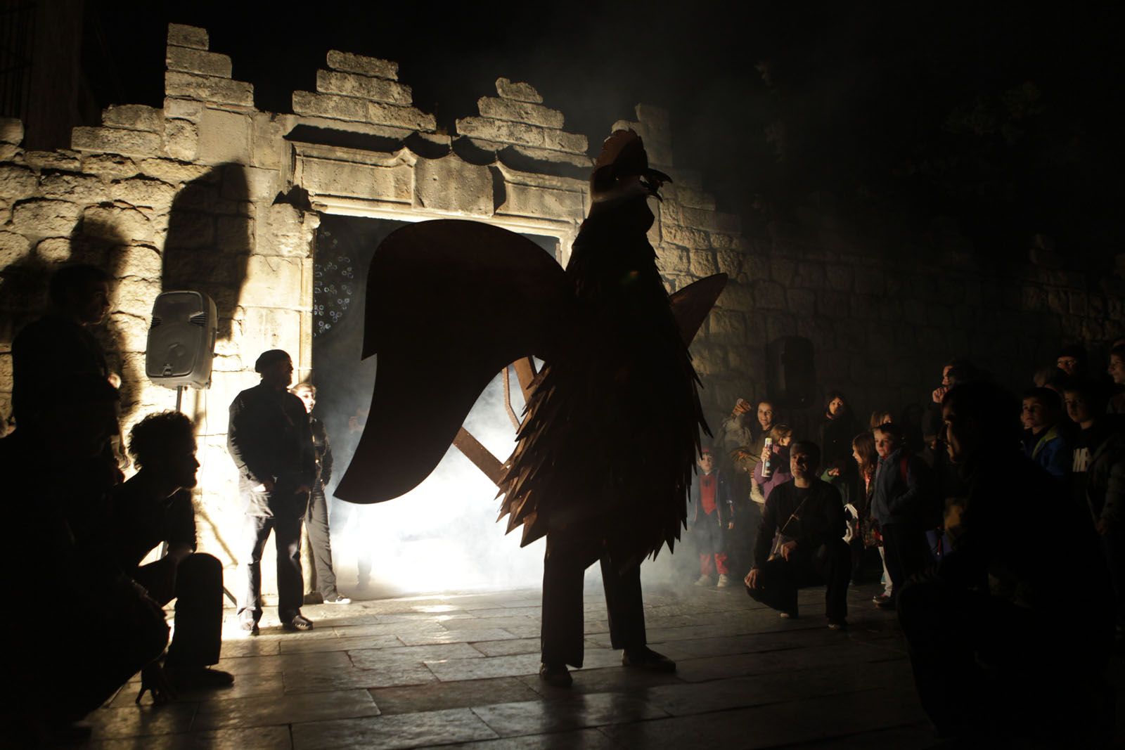 El Gall regnarà a Sant Cugat durant una setmana FOTO: ARtur Ribera