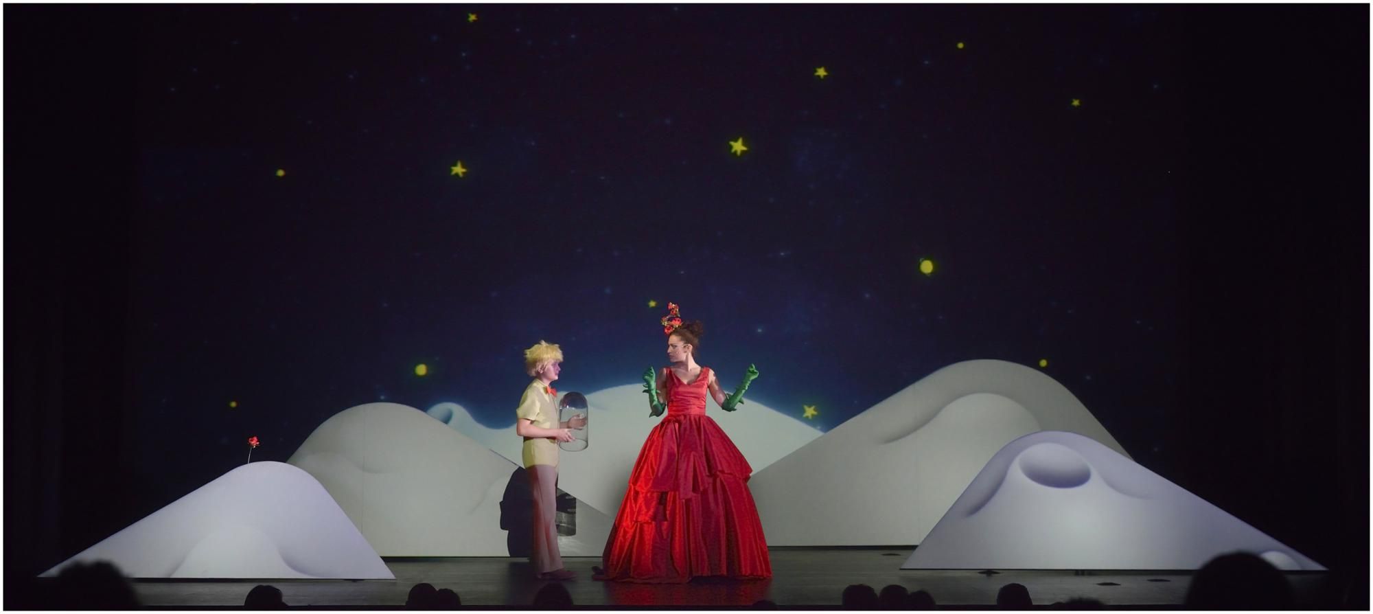 'El Petit Príncep' arriba al Teatre- Auditori el diumenge 5 de febrer FOTO: Cedida