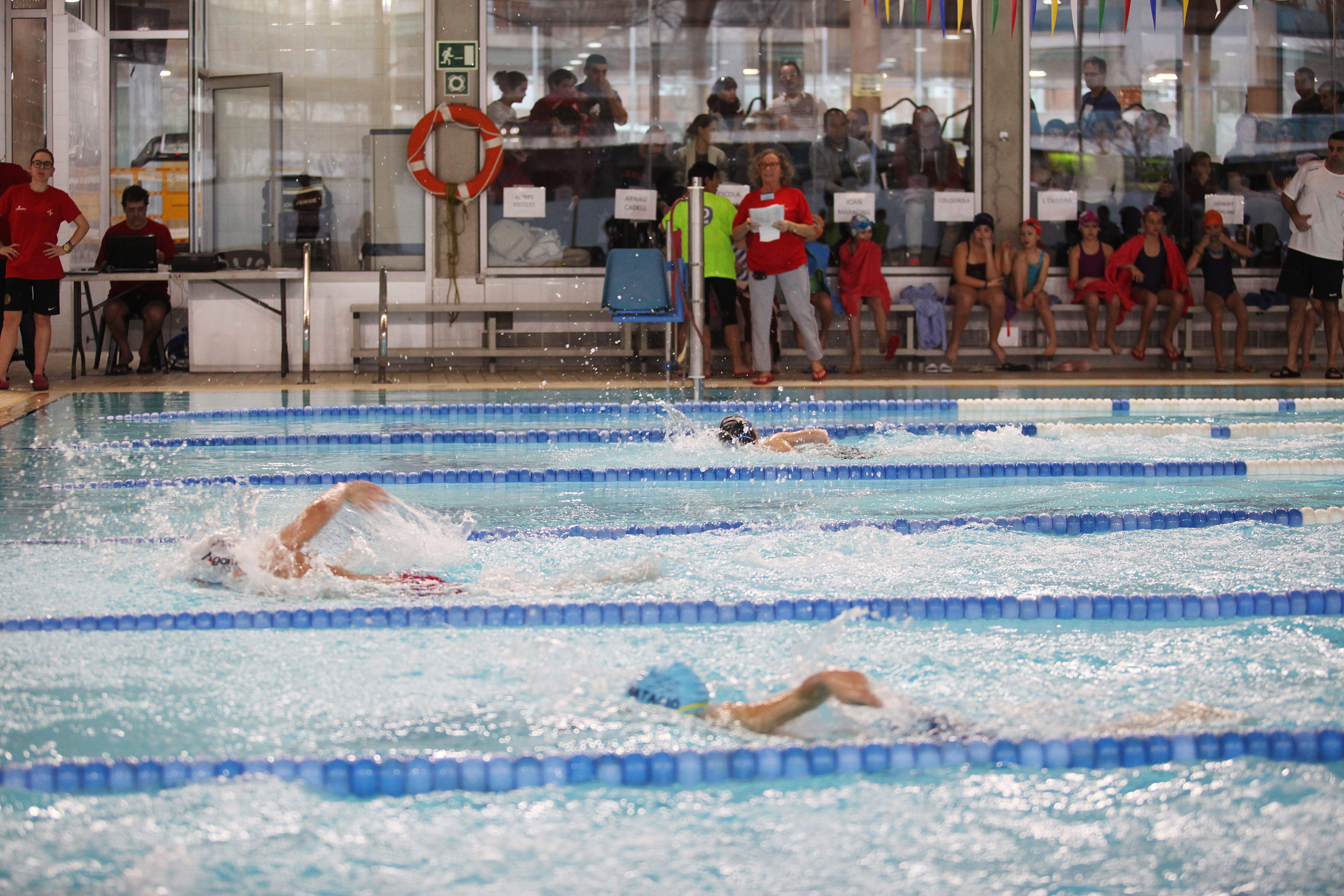 El 18è Campionat Local de Natació Escolar, el diumenge 12 de febrer, a la piscina municipal de la ZEM Rambla del Celler. FOTO: Lali Puig