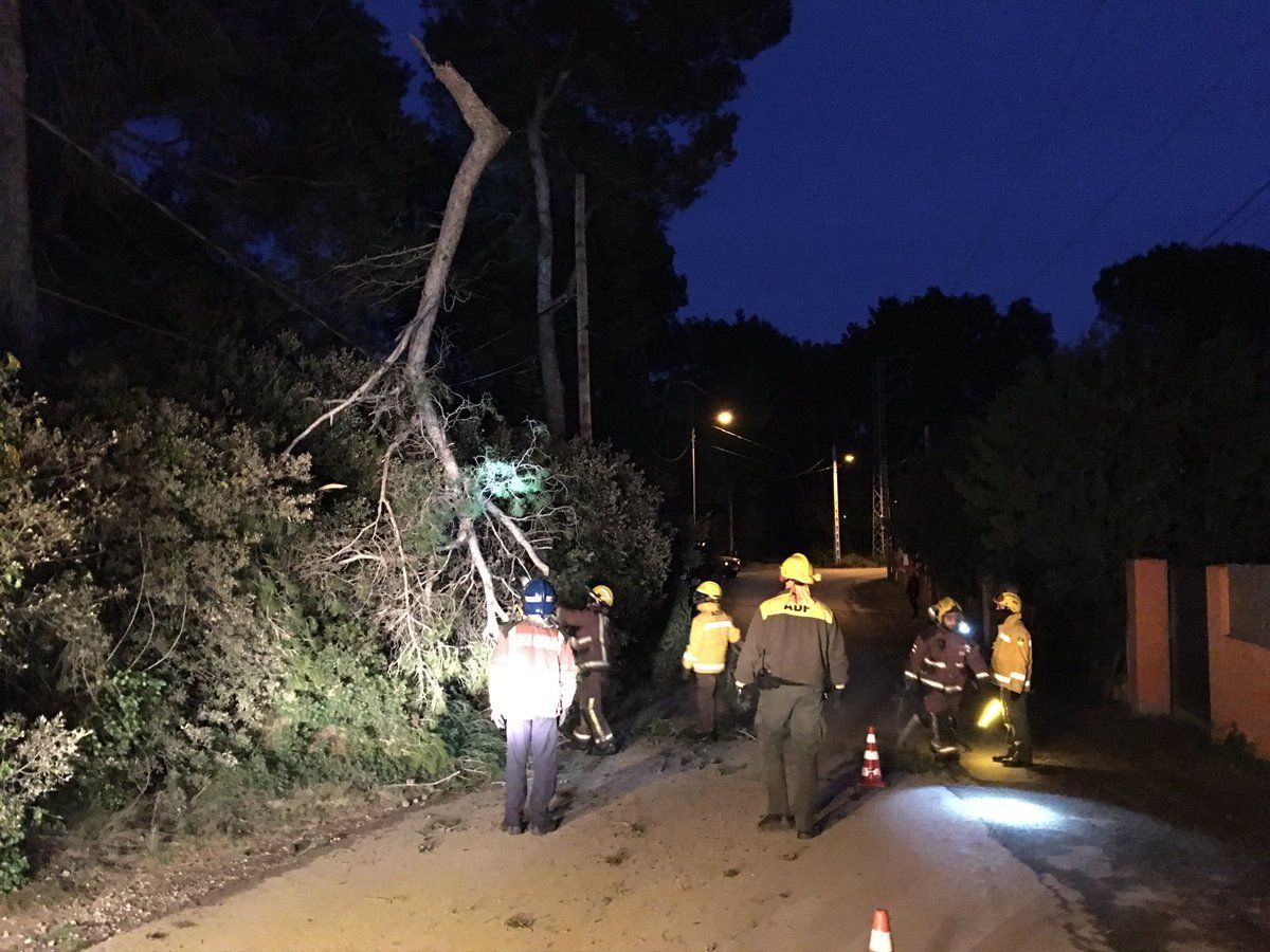 La branca ha caigut a la plaça del centre. FOTO: ADF Sant Cugat