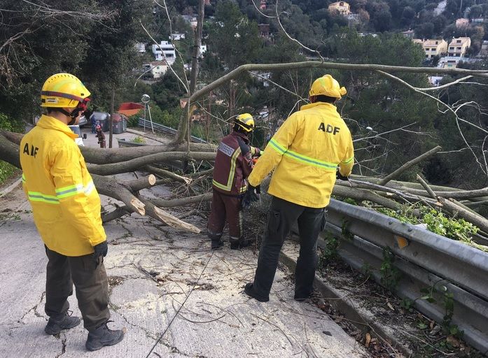 Imatge de l'actuació  FOTO: ADF Sant Cugat