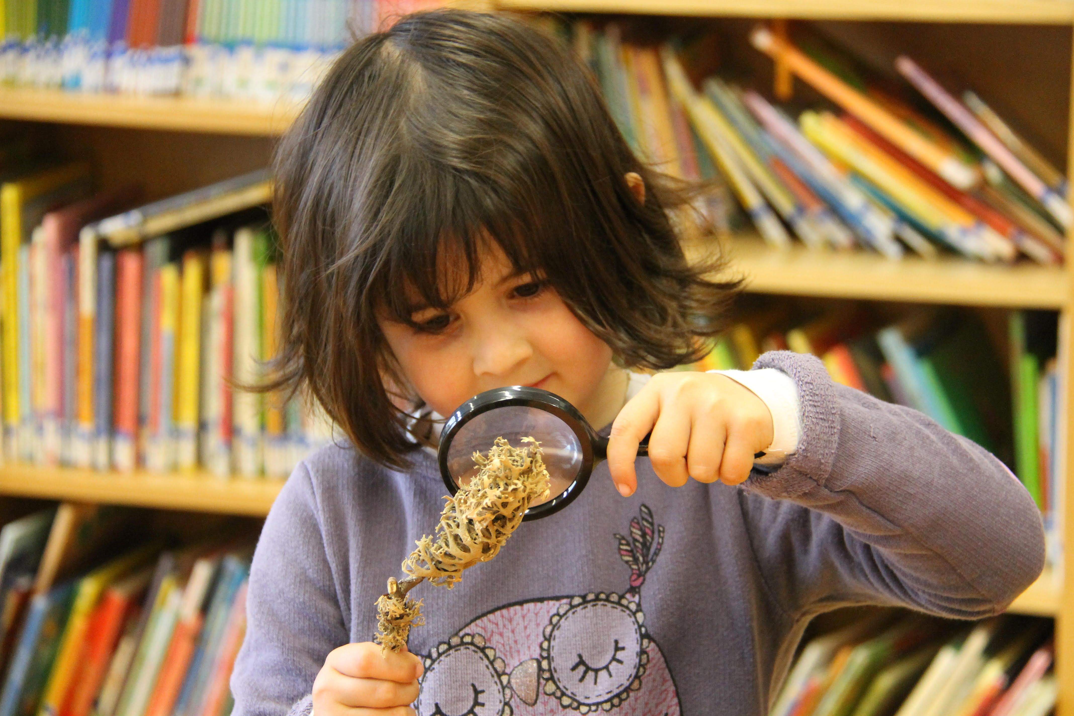 Arriba la 6a edició de la Setmana de la Ciència a l'escola L'Olivera FOTO: Cedida