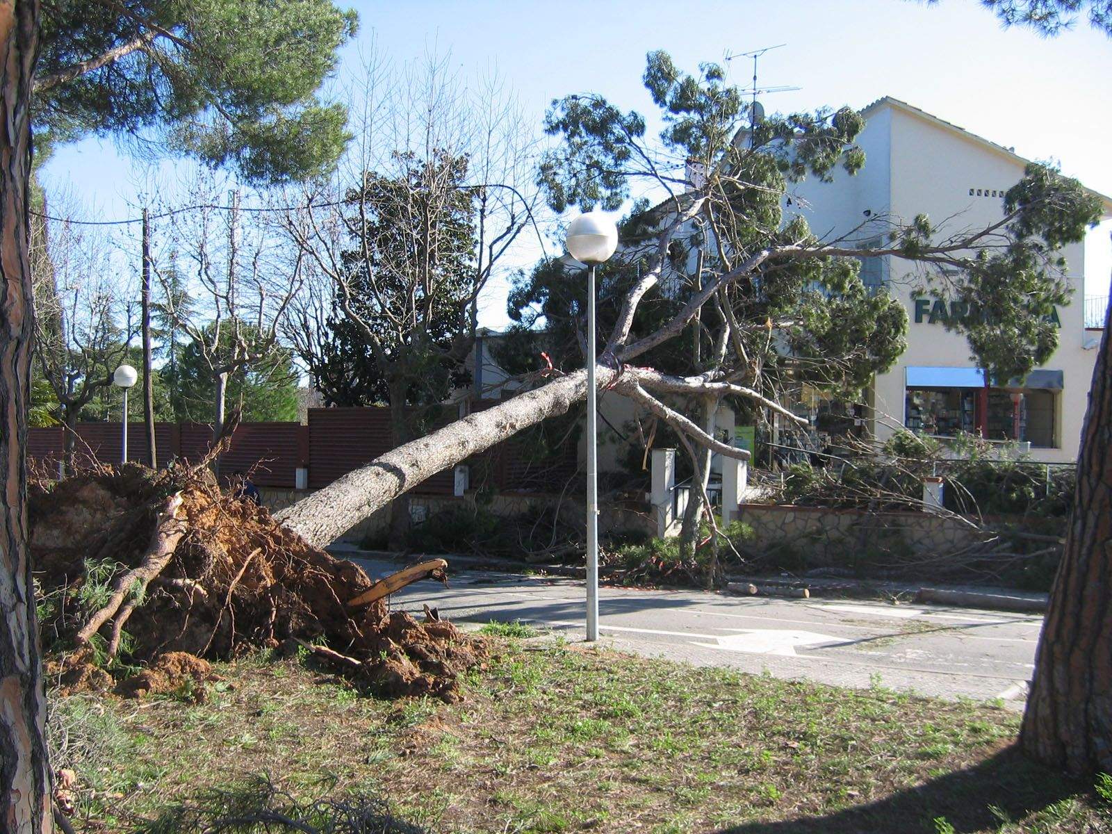 Destrossa a la farmàcia de Valldoreix FOTO: Josep Pagan