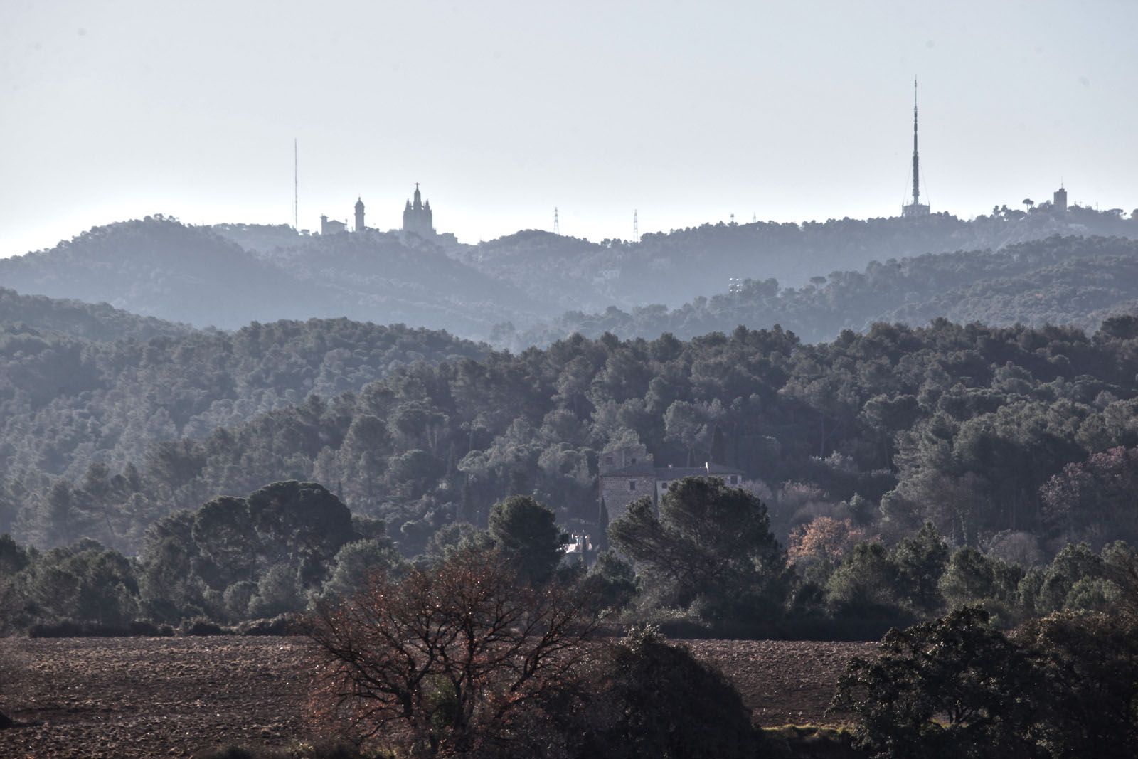 A la falda de Collserola FOTO: Artur Ribera