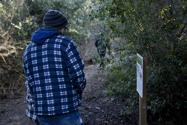 El Bosc Literari s'ha inaugurat aquest diumenge, 29 de gener FOTO: Localpres