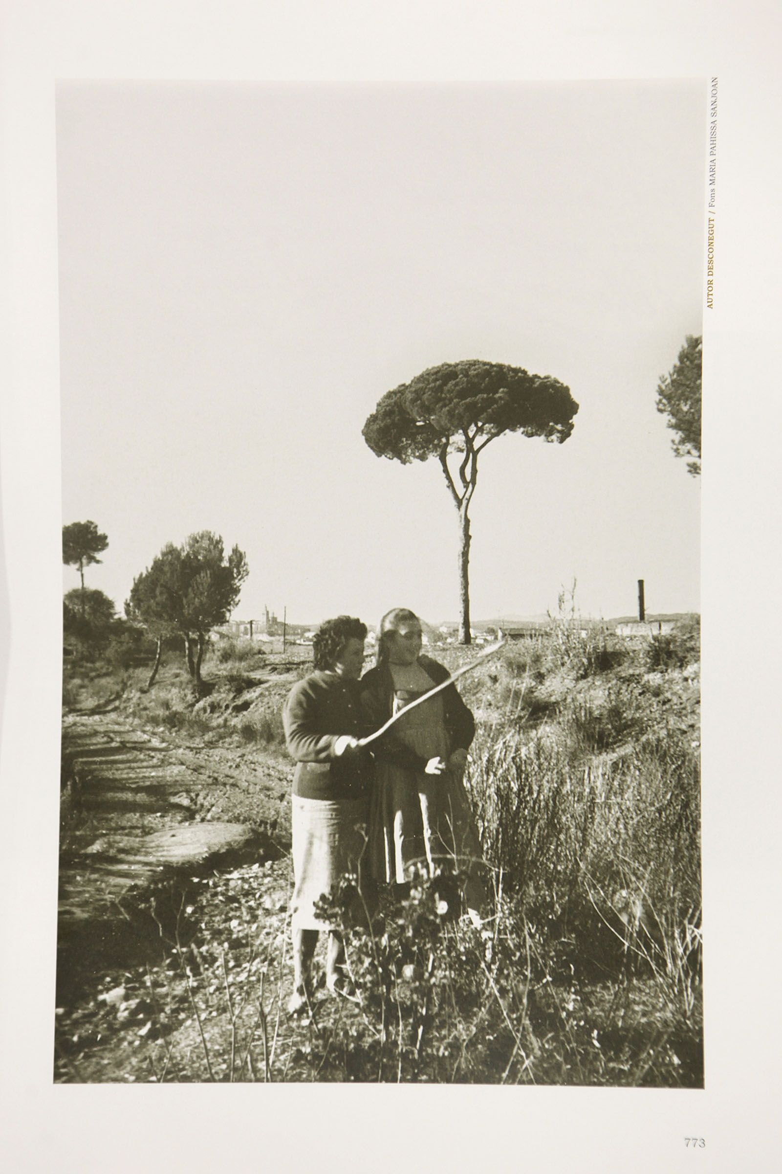 Voltants del Pi d'en Xandri (1955) FOTO: Fons Maria Pahissa Sanjoan
