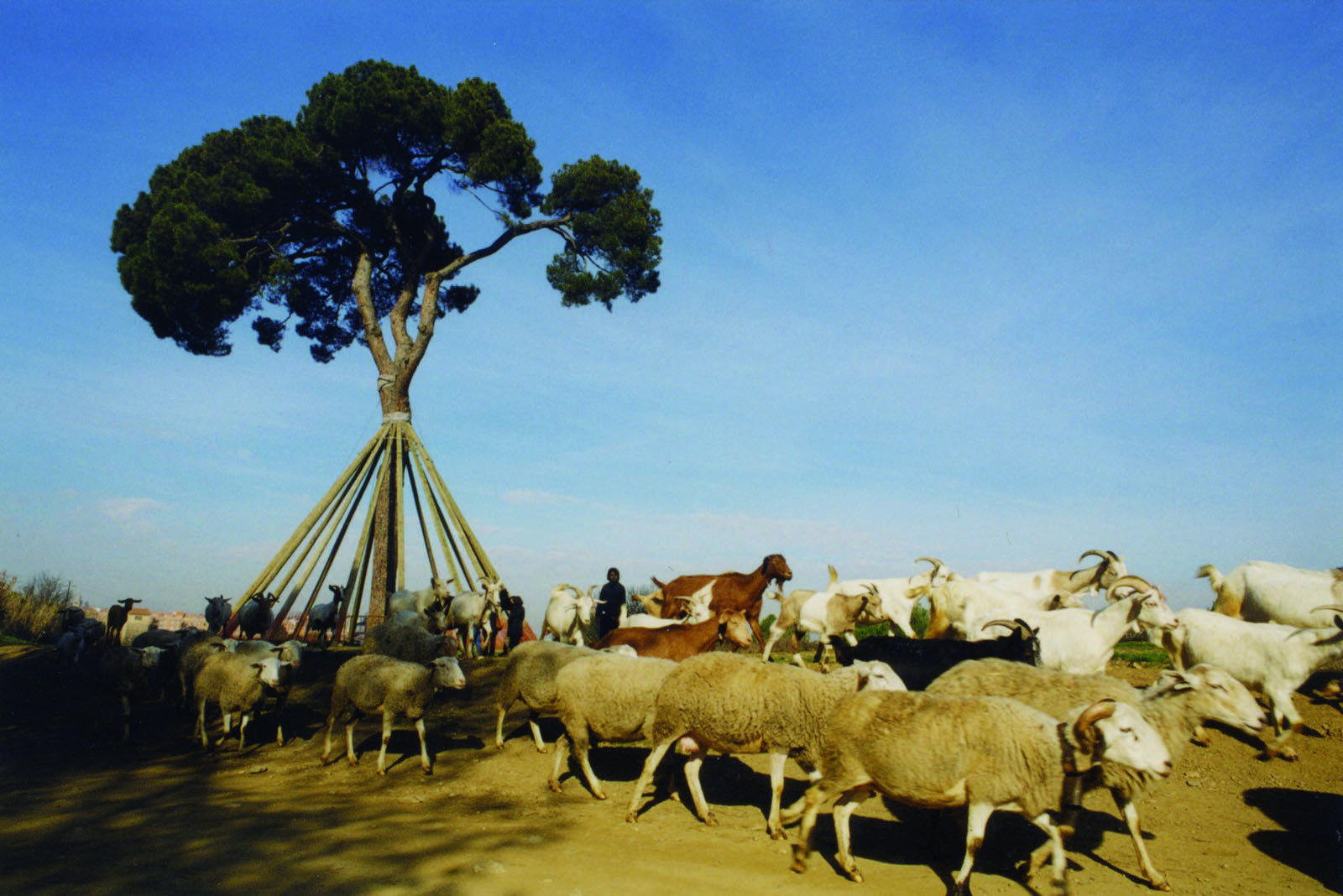 Imatge rural de l'any 2000 FOTO: Arxiu