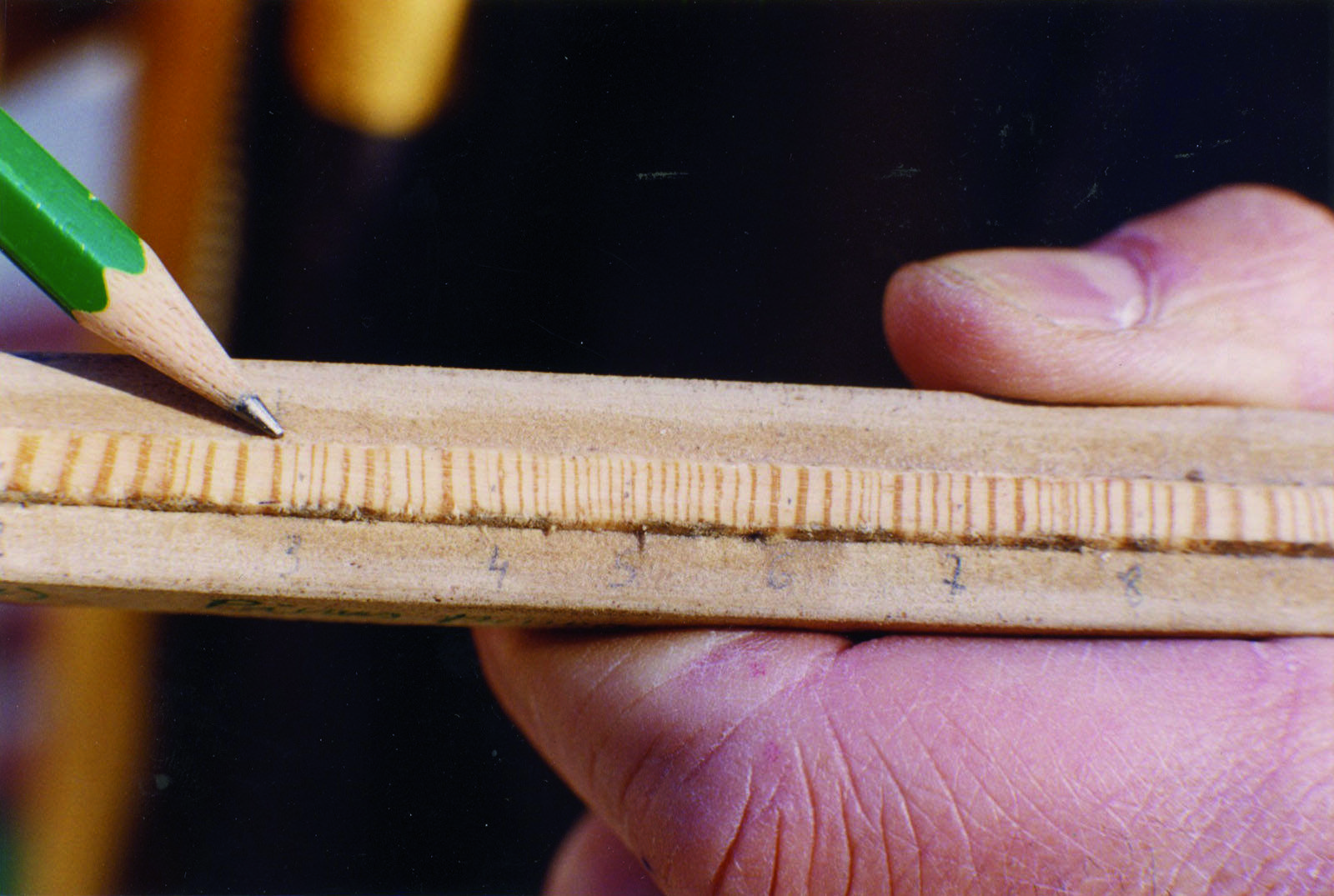 Control tècnic de les anelles del tronc fet l'any 1999 FOTO: Arxiu