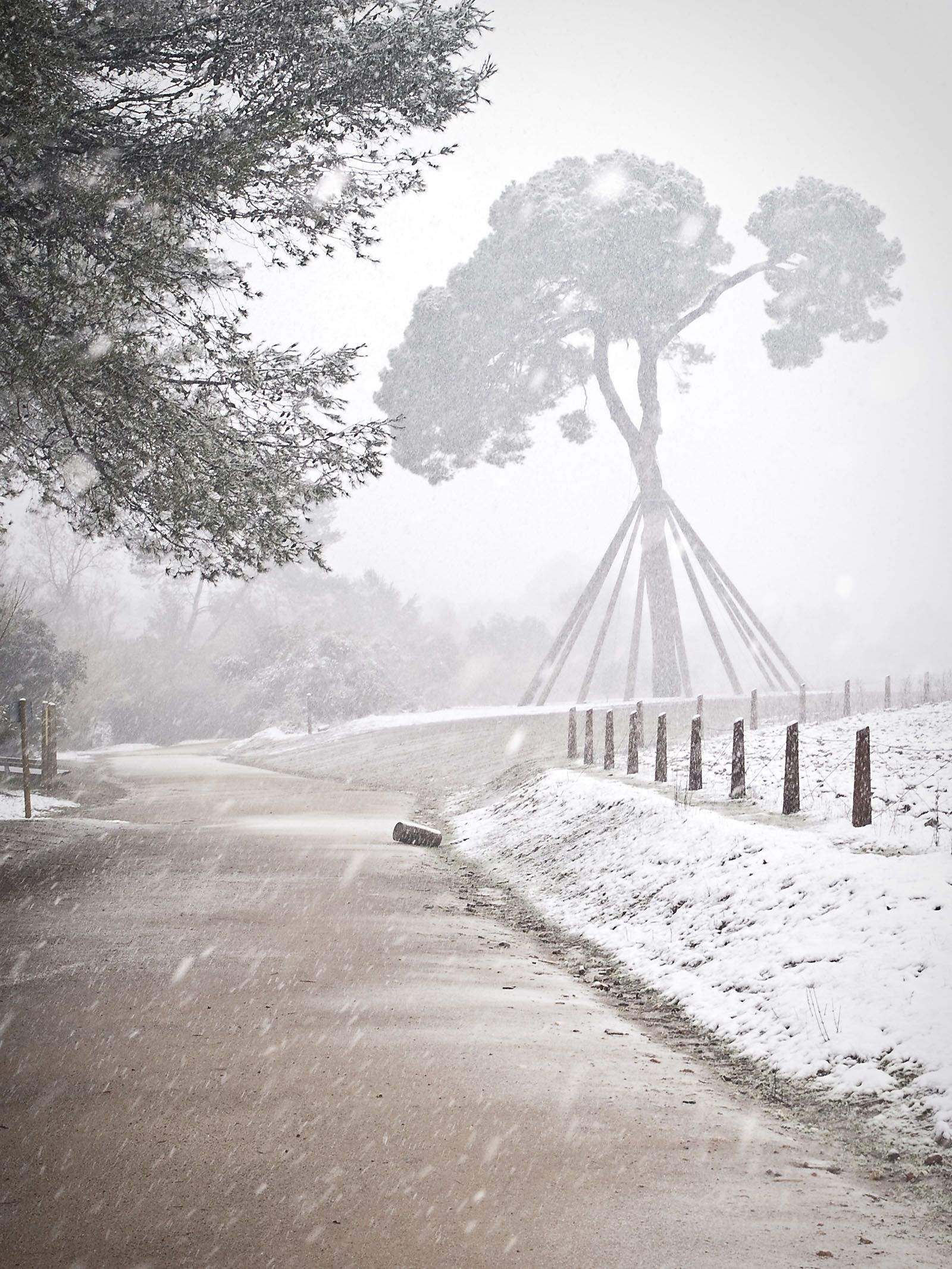 Nevada del 2010 FOTO: Artur Ribera