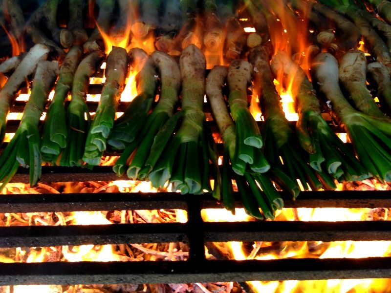 Els calçots tradicionals es fan a la brasa FOTO: Cedida