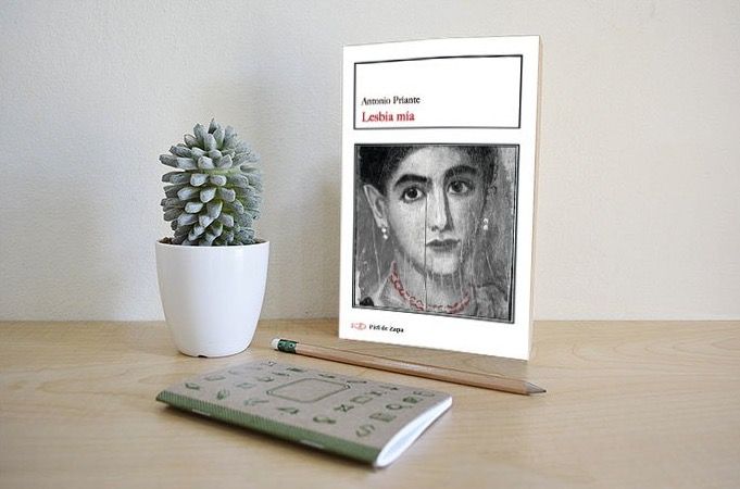 Imatge del llibre  FOTO: Cedida