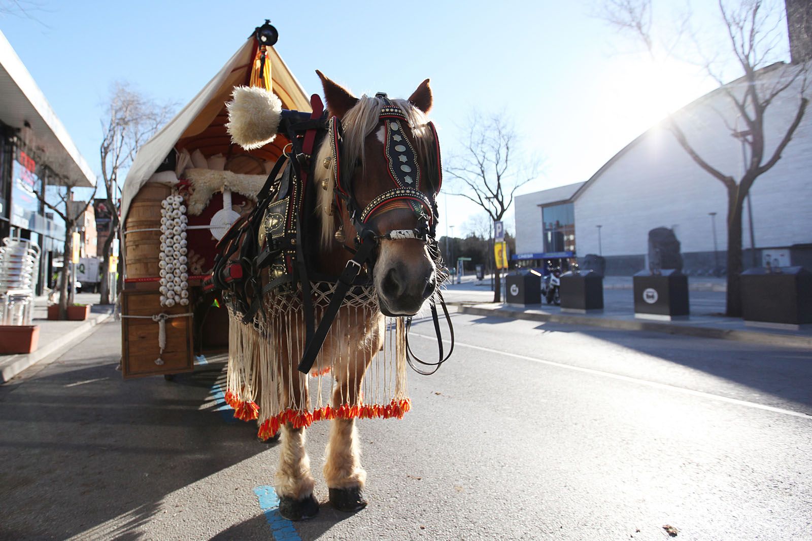 Imatge de la rua dels Tres Tombs del 2016 FOTO: Lali Puig 
