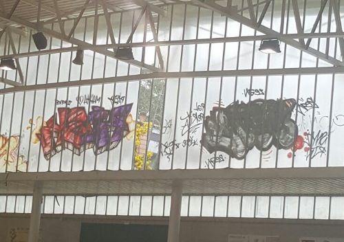 L'estat del pavelló de la Floresta, el diumenge 12 de febrer. FOTO: Escalfem Can Llobet