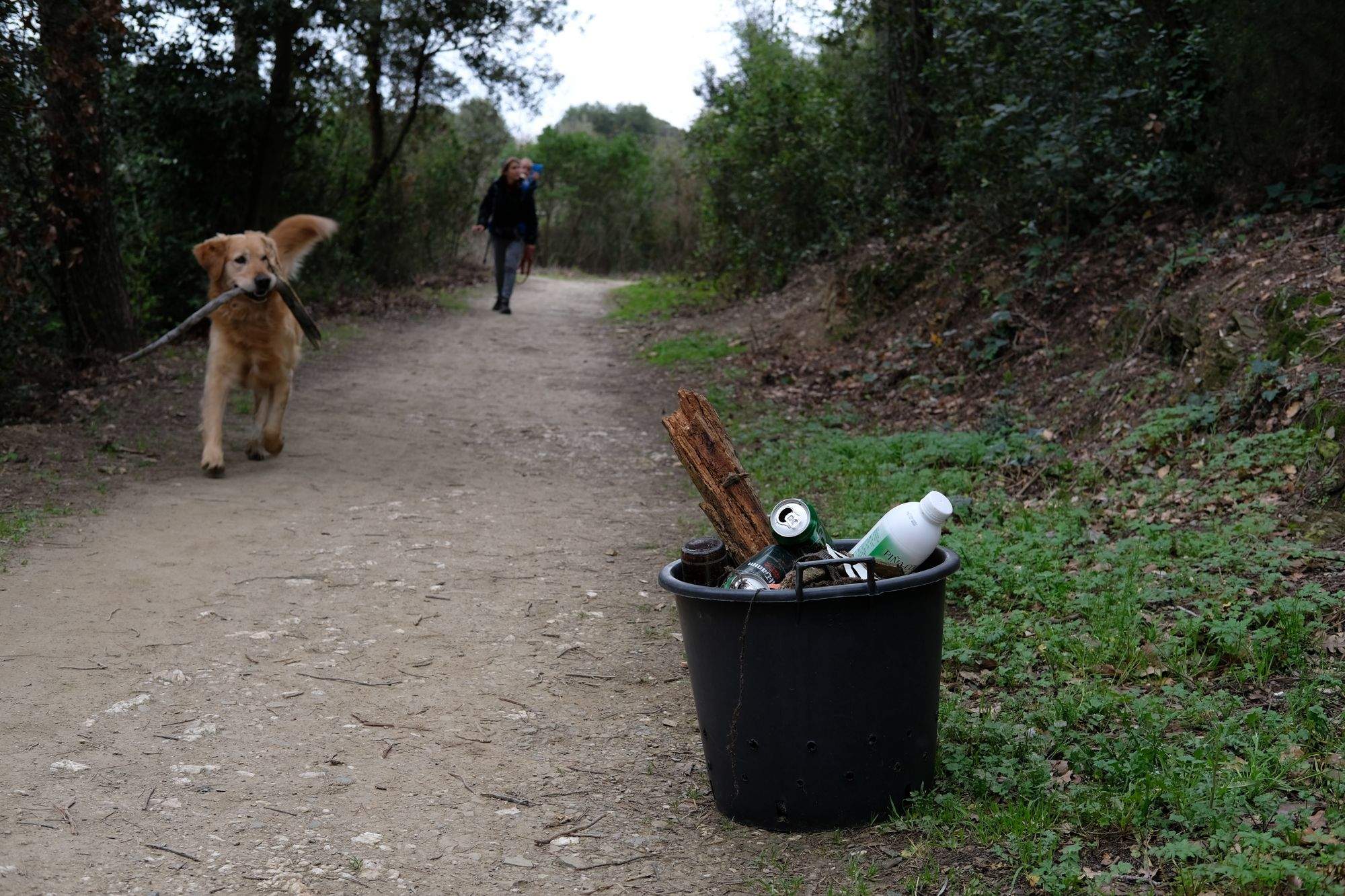 Jornada de neteja de boscos a la Floresta FOTO: Ale Gómez 