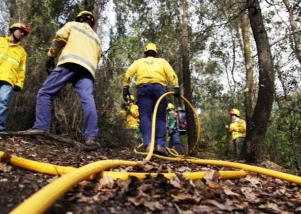 L'ADF en un simulacre d'incendi FOTO: Lali Puig