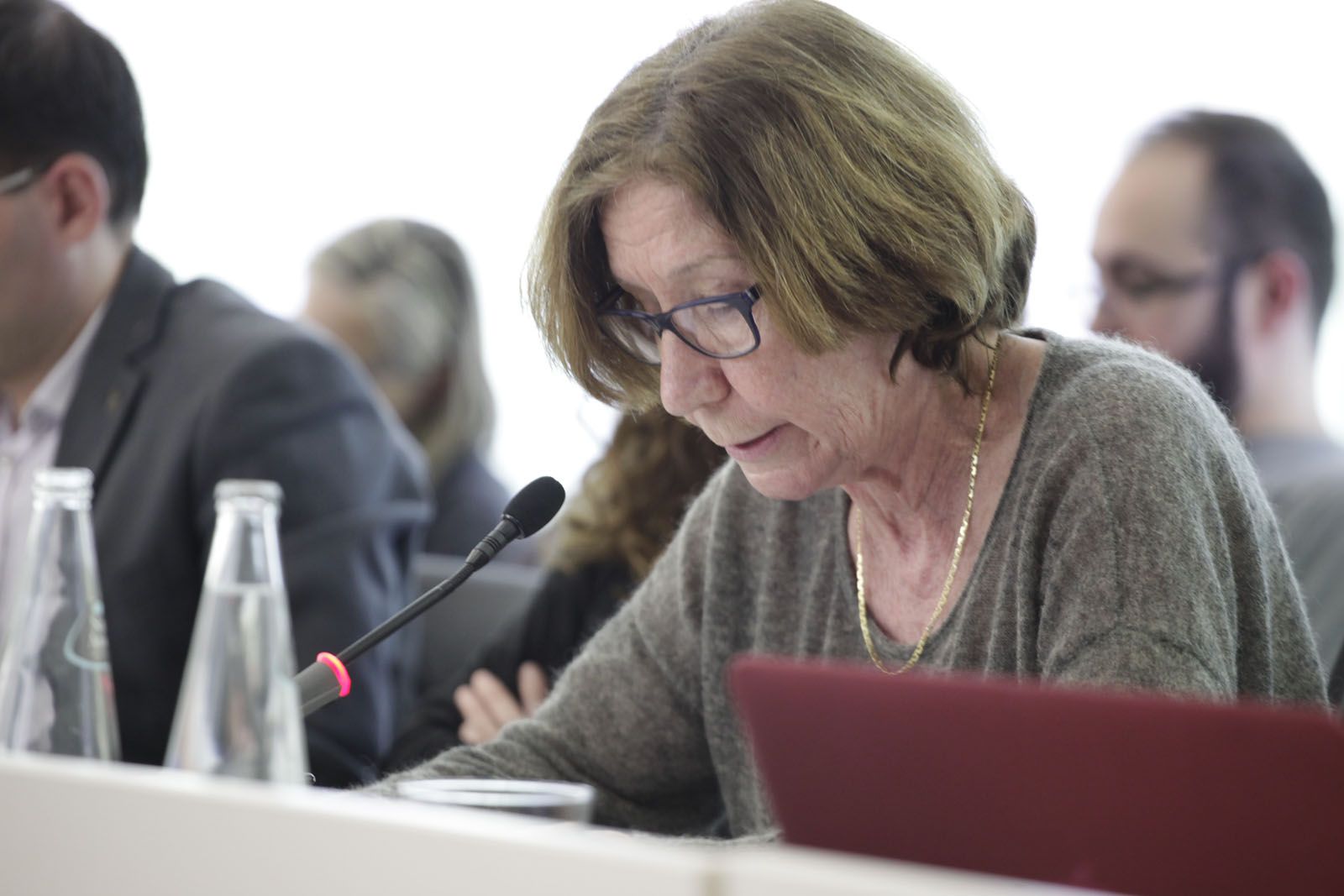 Roser Casamitjana (ICV-EUIA)