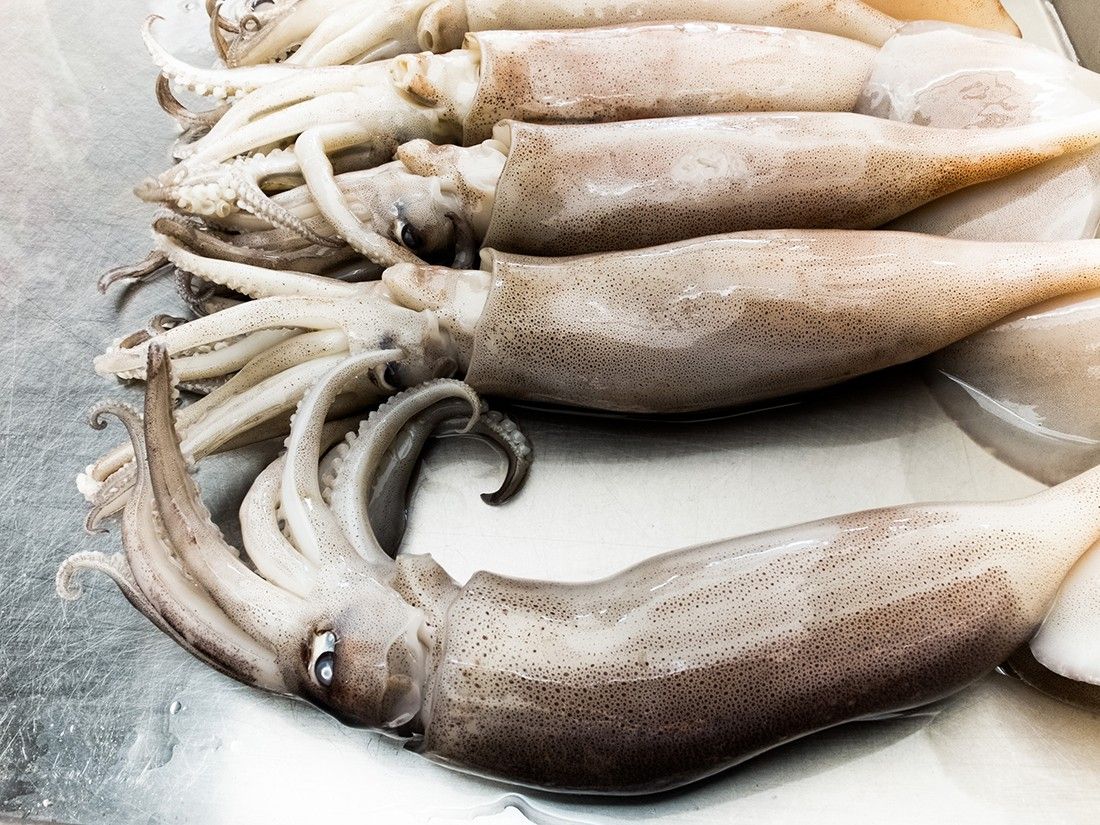 Uns calamars abans de fer-se FOTO: Cedida