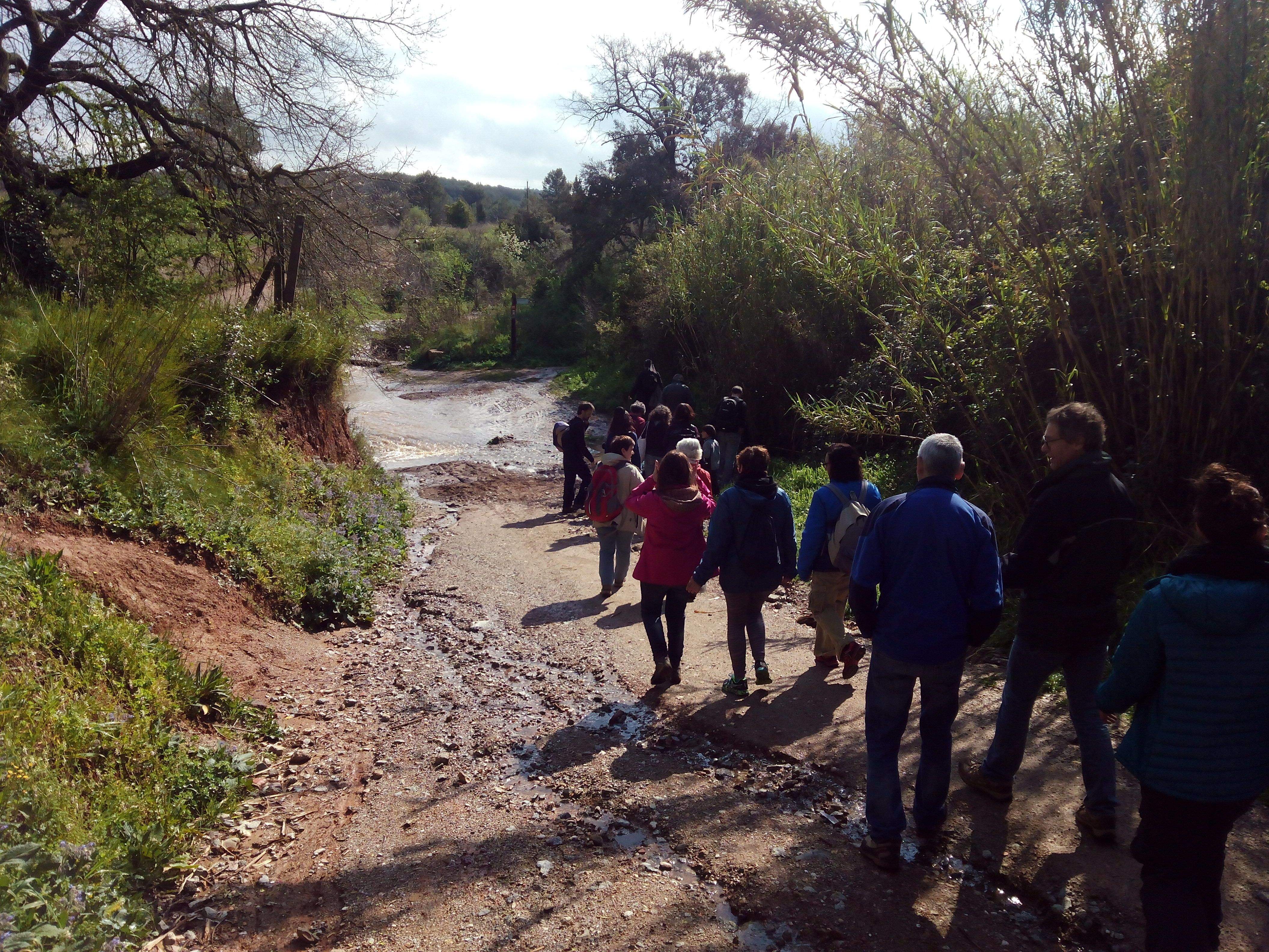 El Torrent de Sant Medir, desbordat per la pluja, ha afectat lleument la ruta prevista inicialment FOTO: Lluís Bassa
