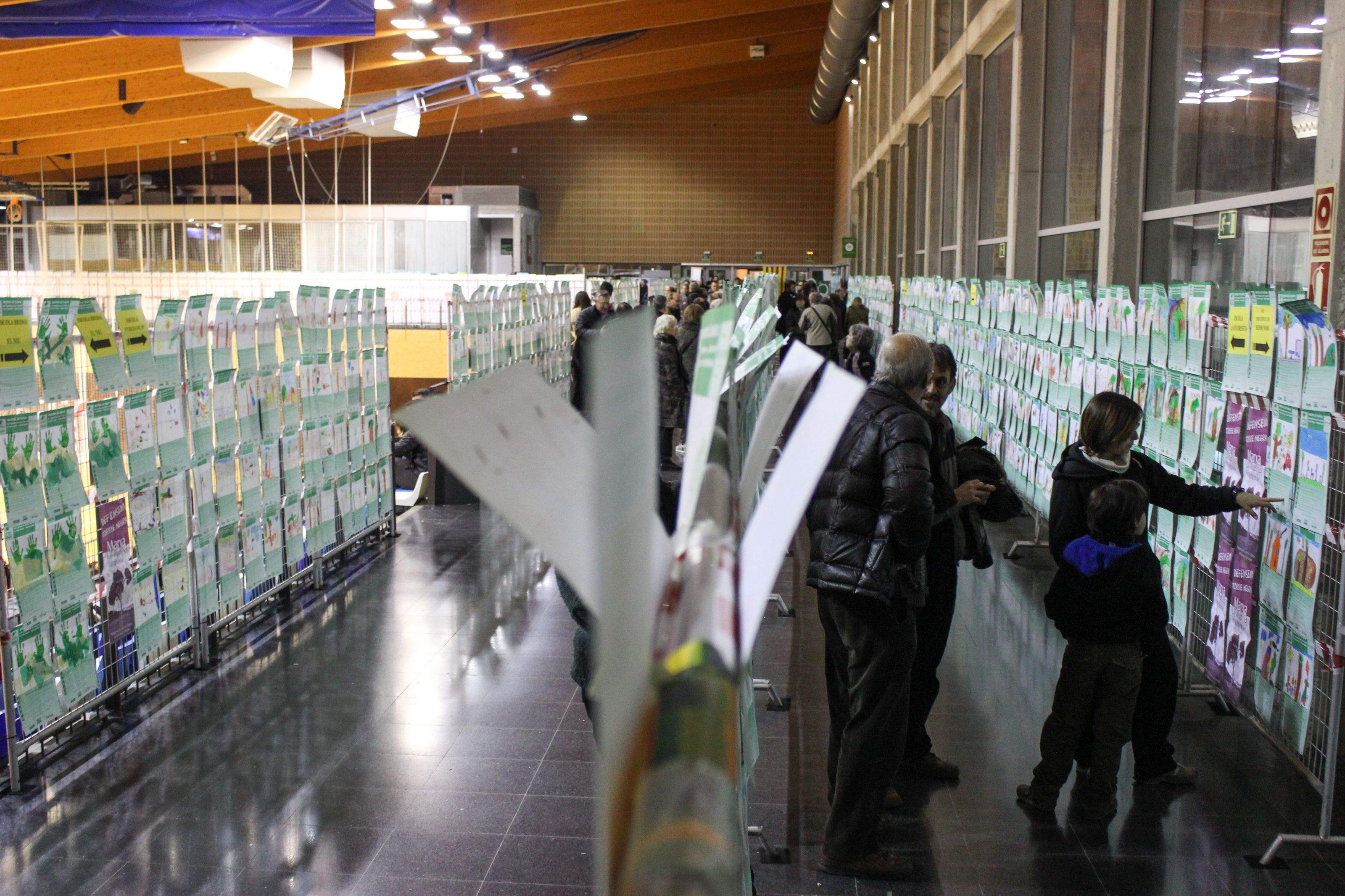 L'exposició de dibuixos del Pi d'en Xandri es pot veure al pavelló  FOTO: Ale Gómez