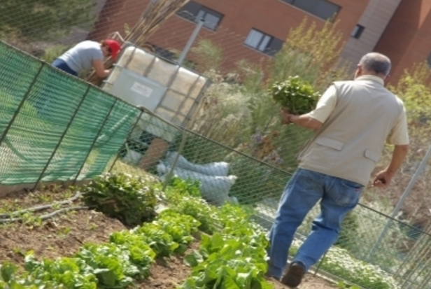 El període de sol·licituds es tancarà el 16 de maig FOTO: Artur Ribera 