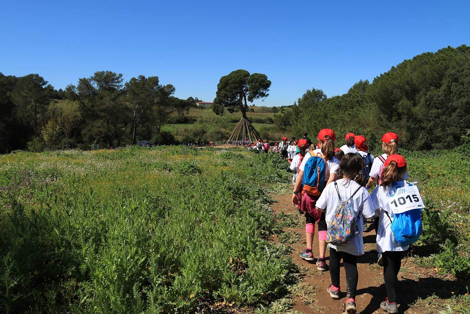 El pas de la Marxa Infantil pel Pi d'en Xandri Foto: Lali Álvarez