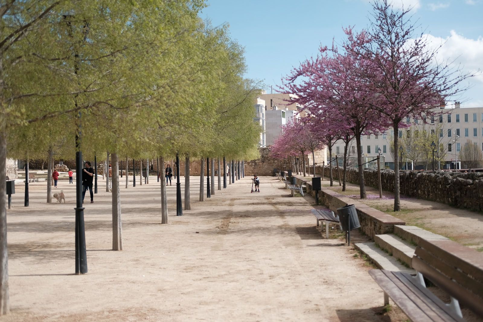 La primavera a Sant Cugat FOTO: Ale Gómez