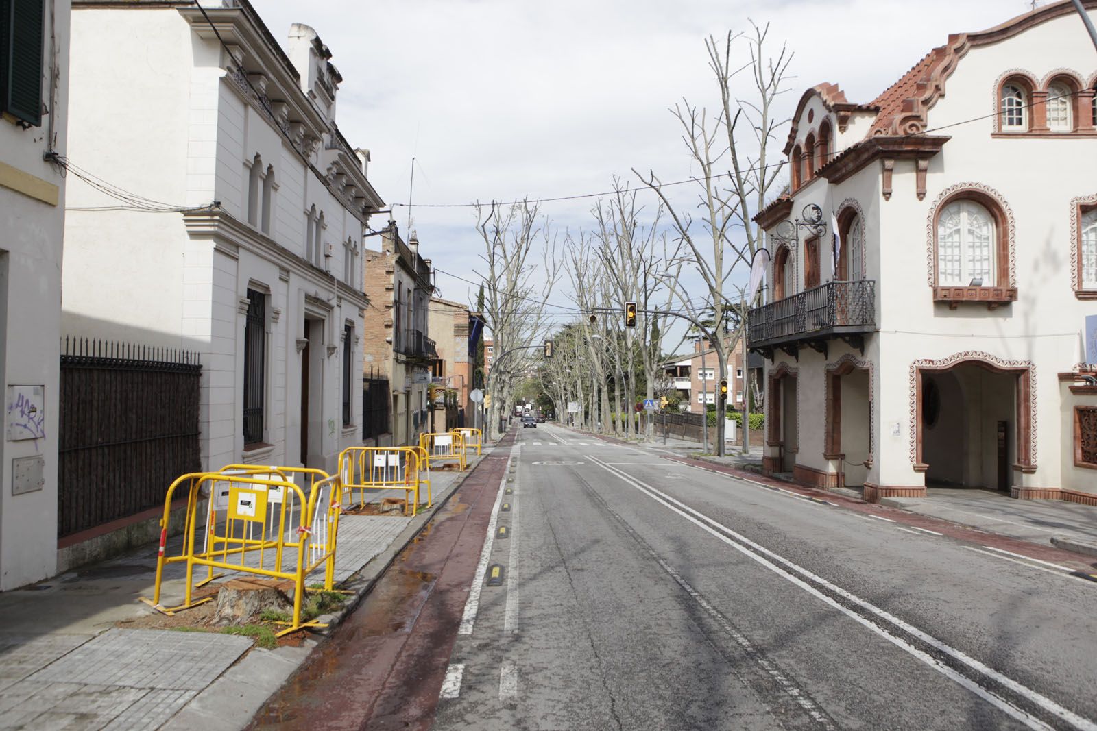 Els quatre plàtans que s'han tallat a Sant Cugat FOTO: Artur Ribera