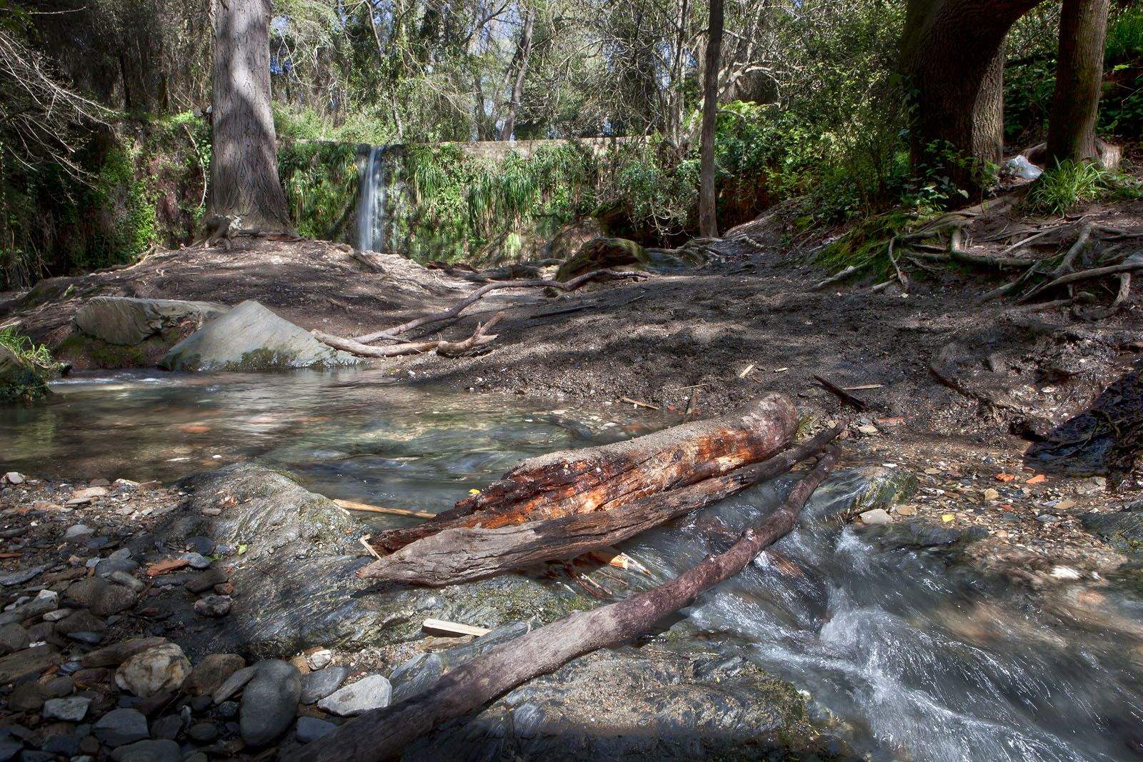Que corri l'aigua! FOTO: Artur Ribera