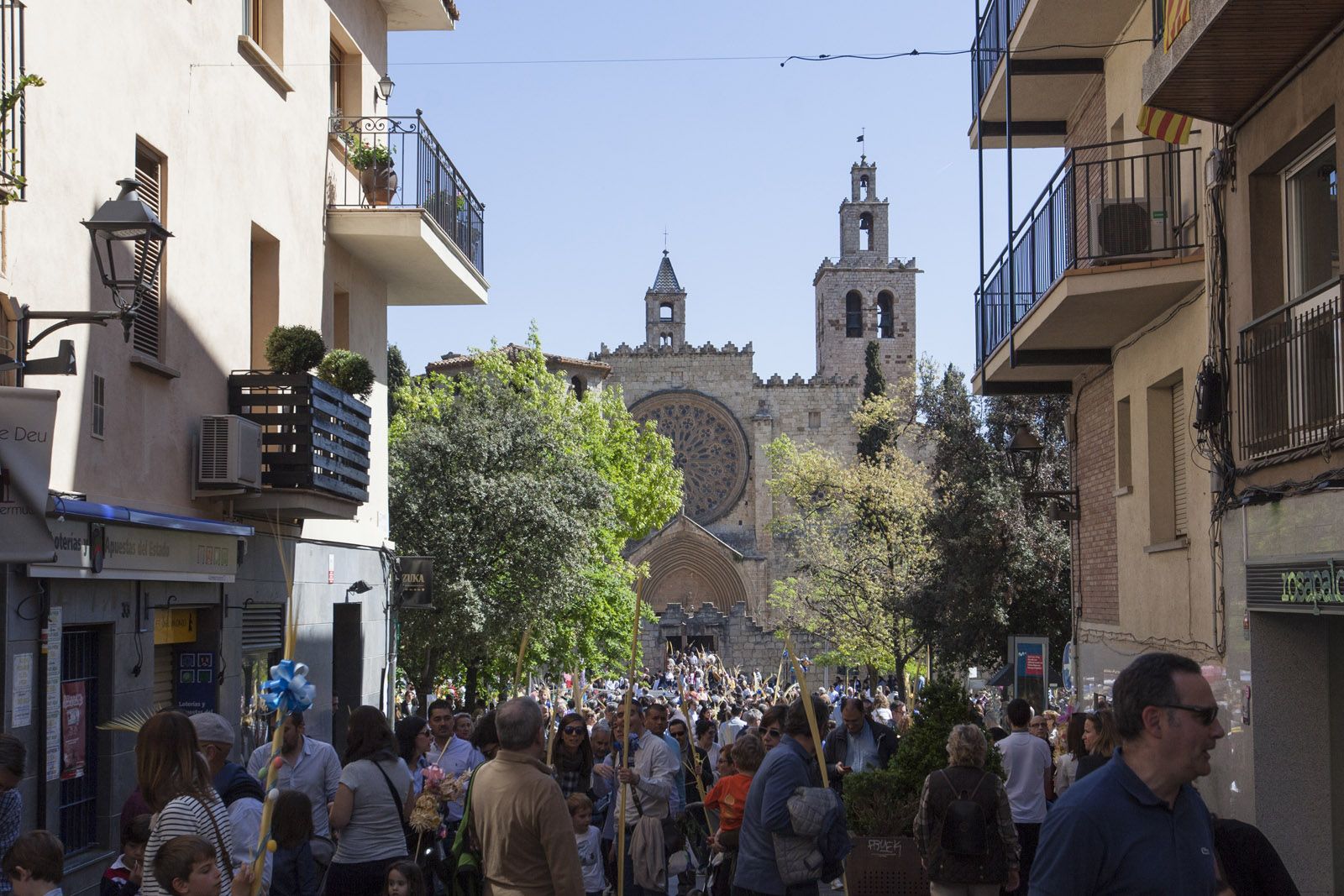Diumenge de Rams: benedicció de les palmes i els palmons a la Plaça d’Octavià. FOTOS: Lali Puig