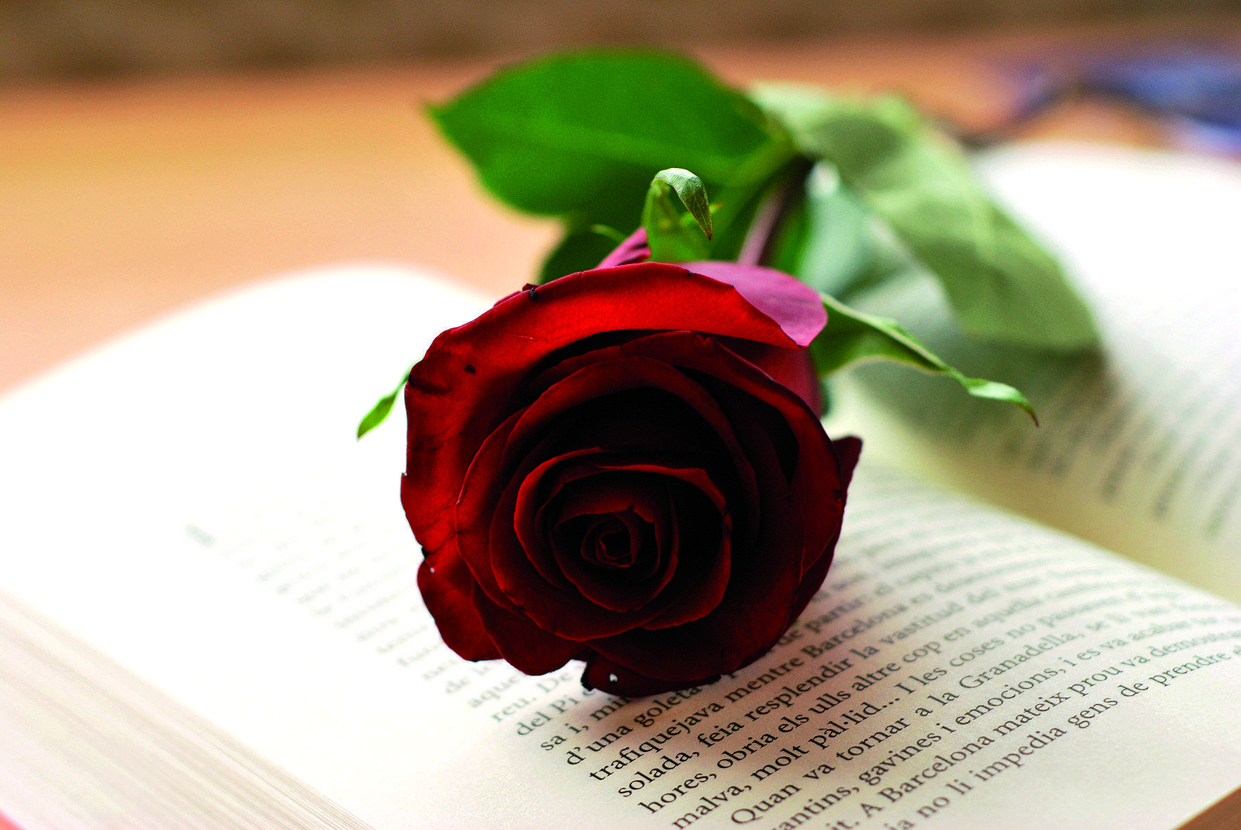 Enguany Sant Jordi cau en diumenge FOTO: Artur Ribera 