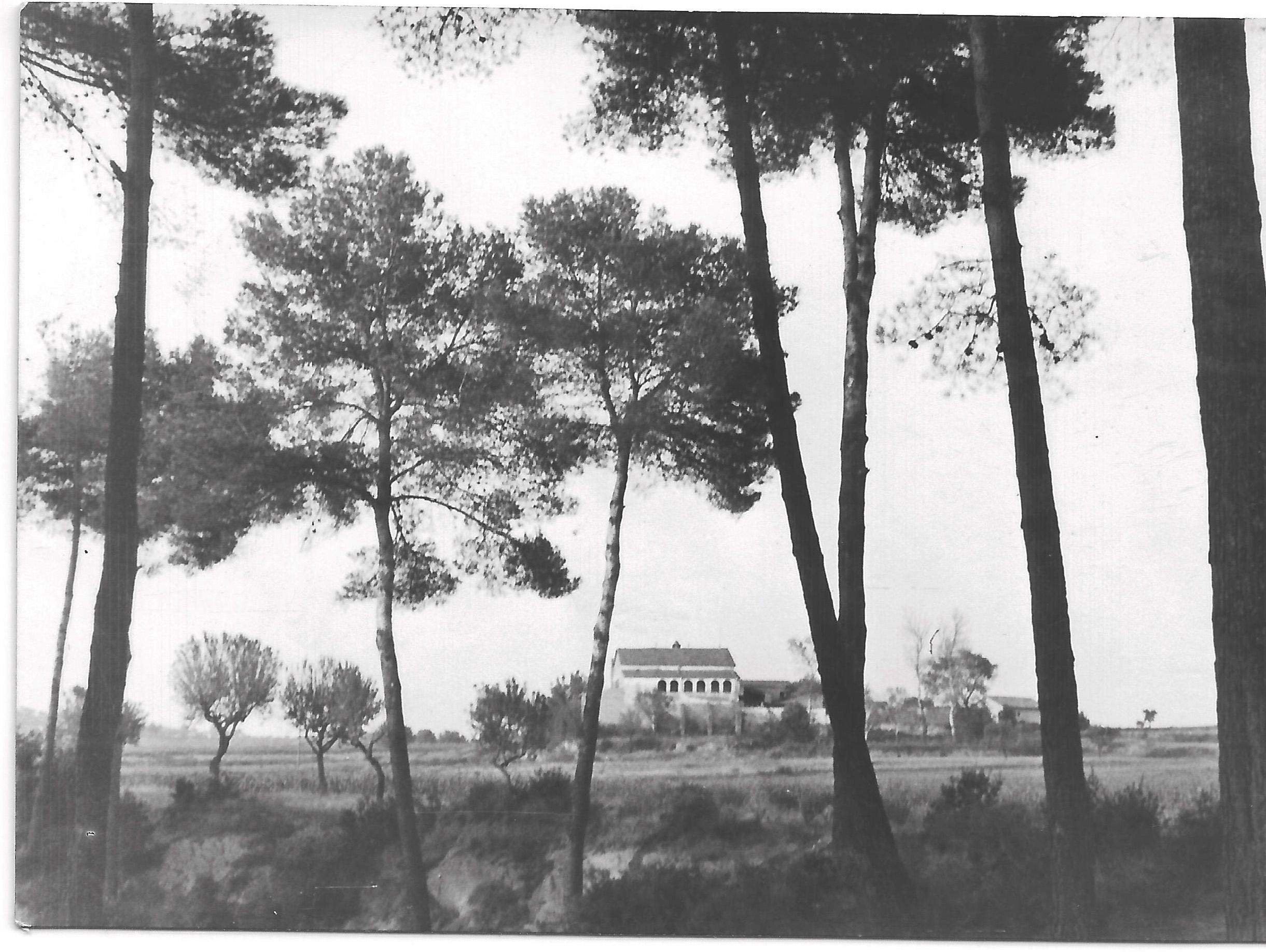 Bosc de Can Volperelles amb la masia al fons FOTO: Josep Maria Cabrerizo