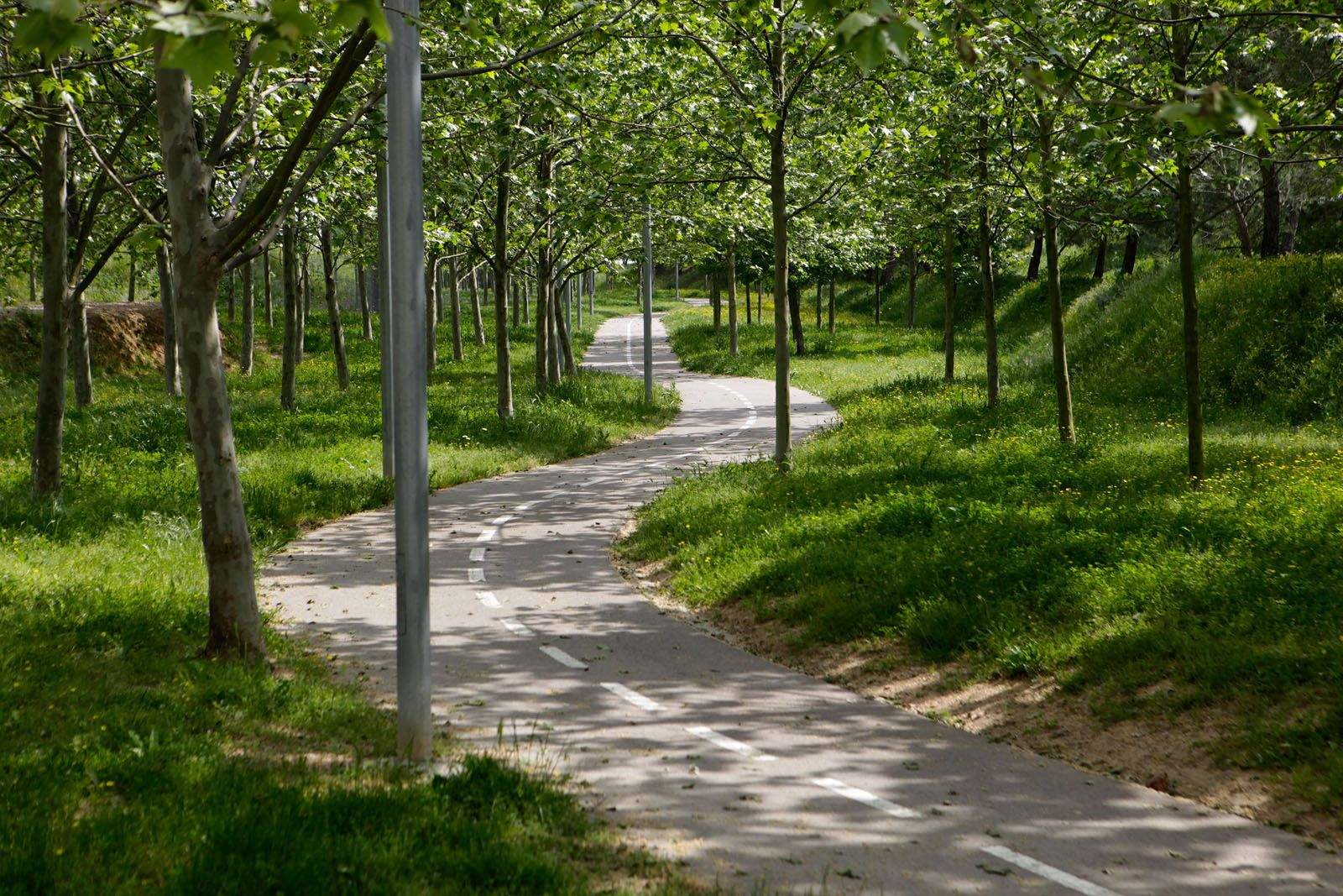 Via verda FOTO: Artur Ribera